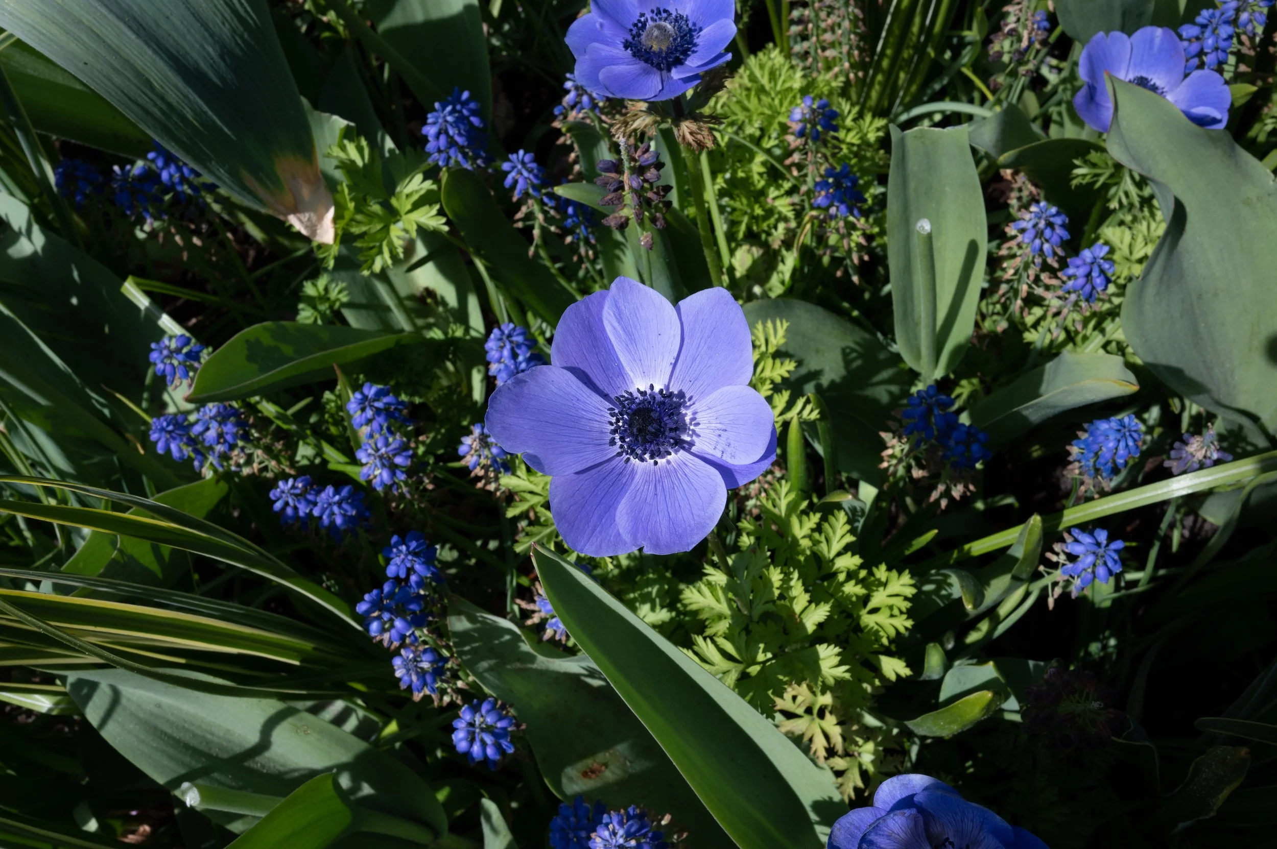 DSC_3509.jpg