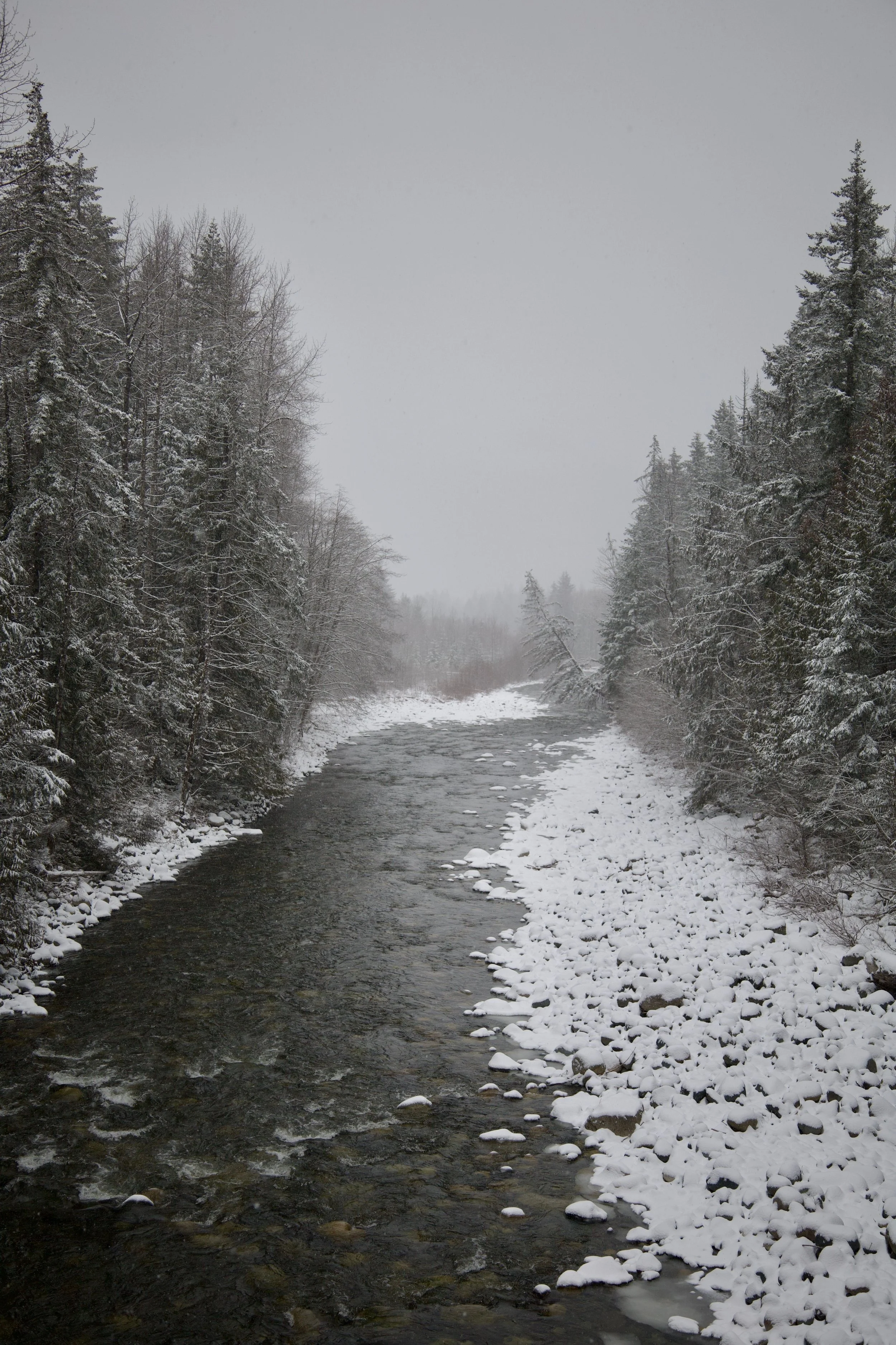 A winter scene of a river flowing through a snow-covered forest with tall trees on both sides under a gray sky.
