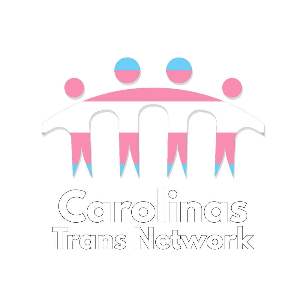 Logo for Carolinas Trans Network featuring a stylized bridge with the trans pride flag colors (pink, blue, white) and the organization's name below.