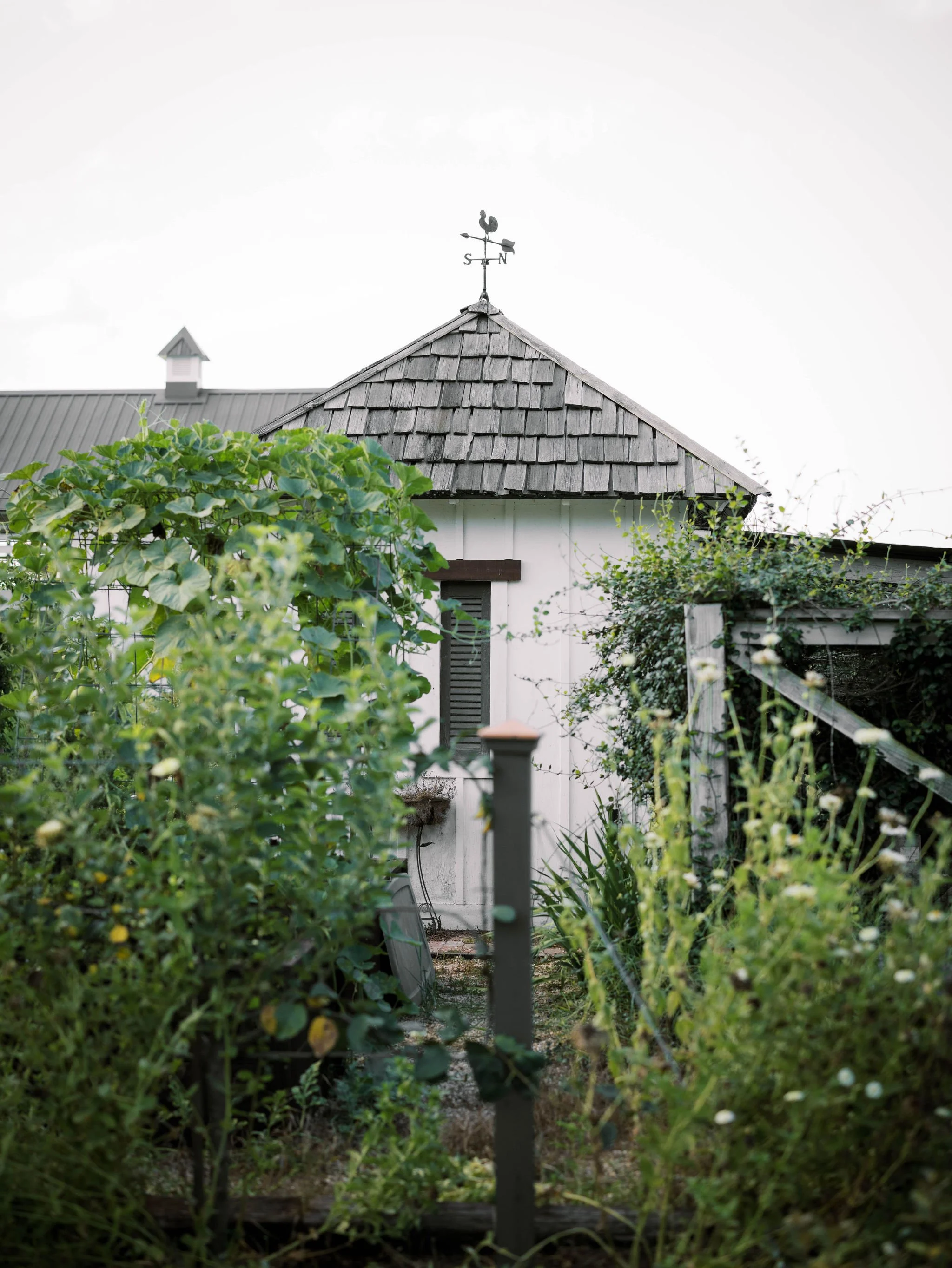 emilysongerphoto-97.jpg