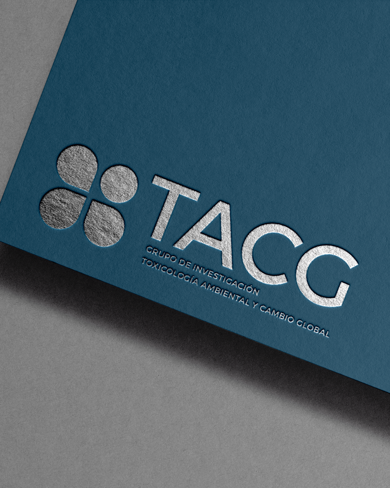 Grupo de investigación TACG · Identidad visual