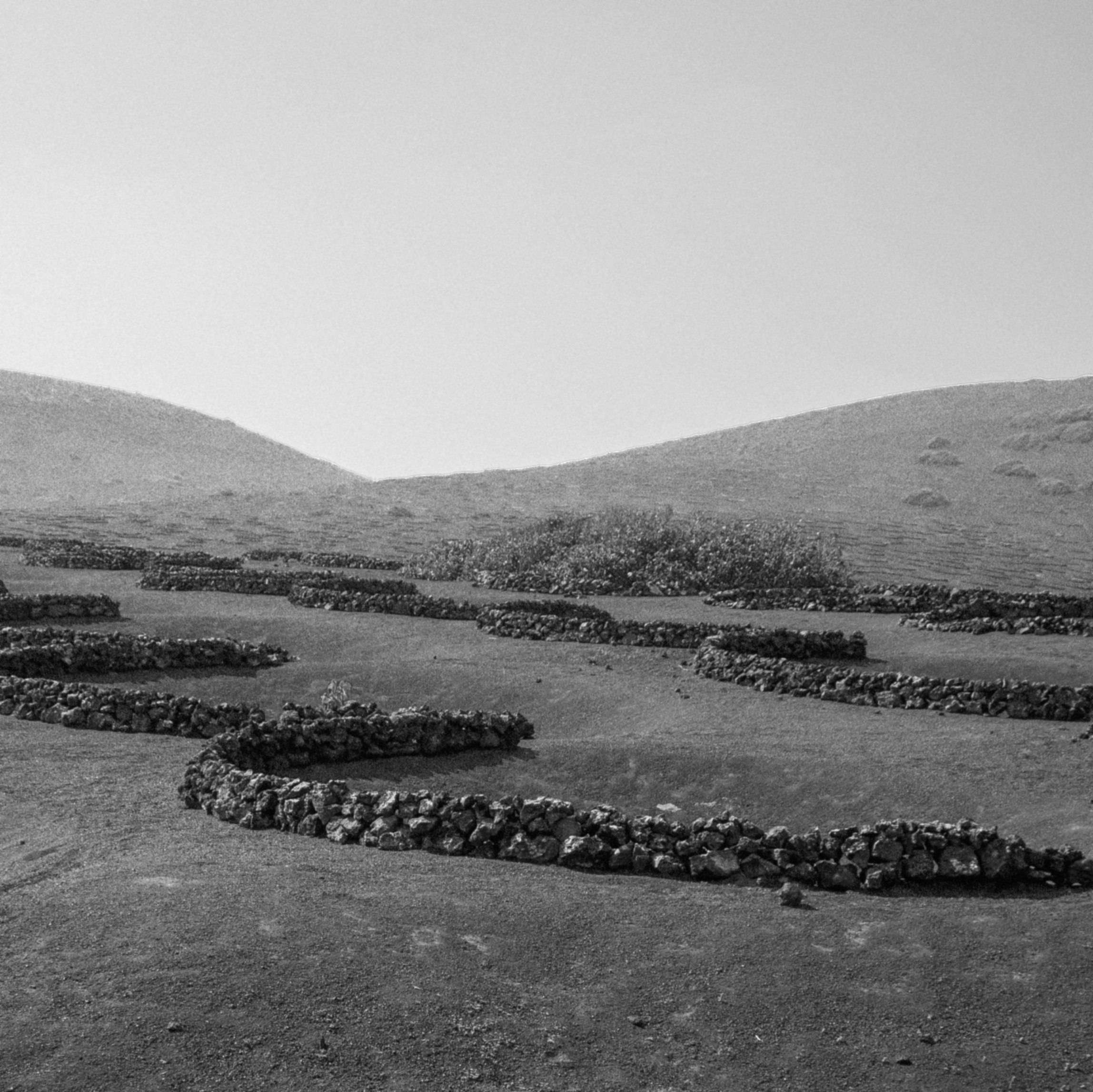 Paisaje volcánico de Lanzarote