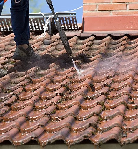 Roof and exterior cleaning project