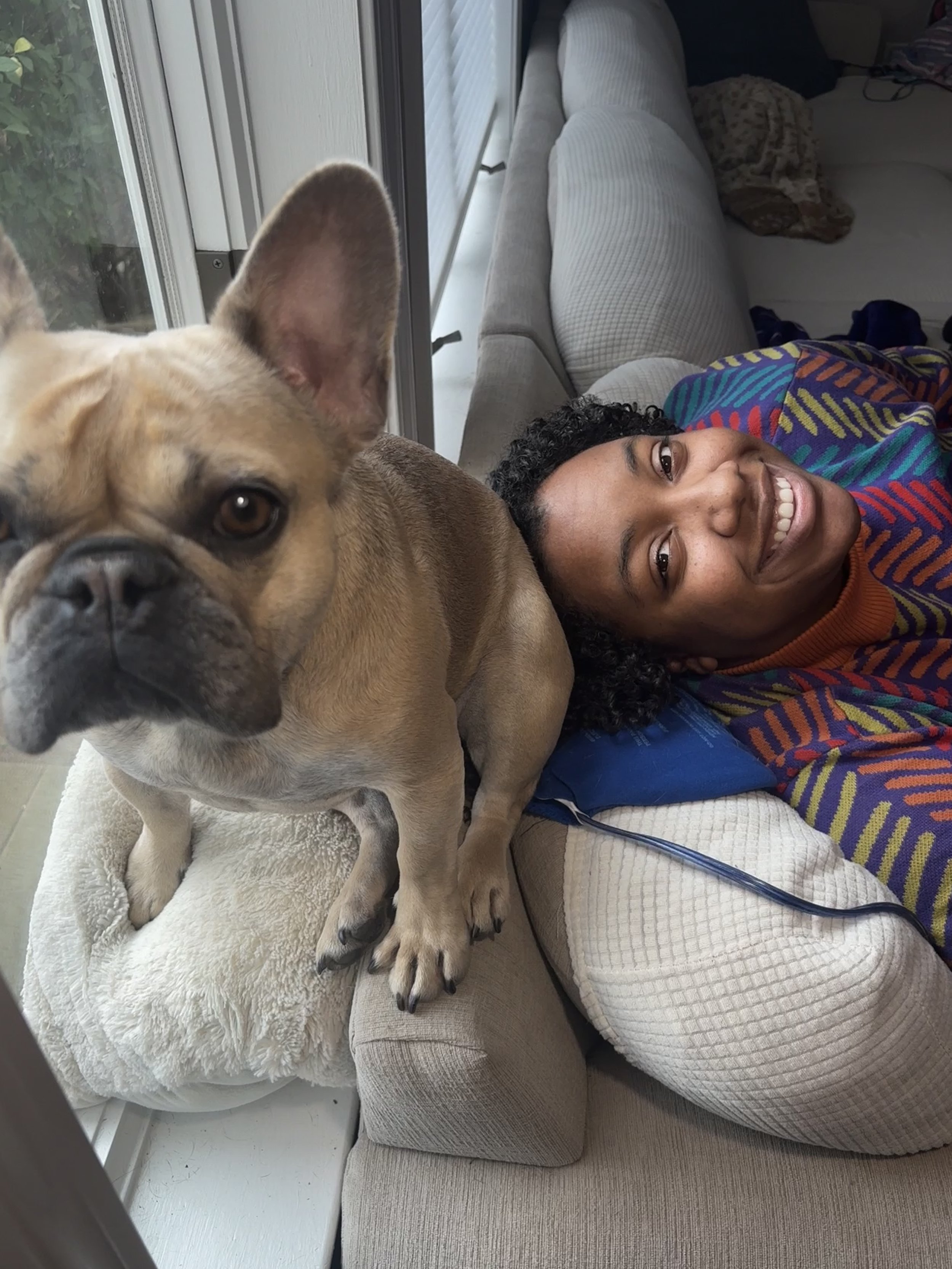 A person lying on a beige couch smiling with a French Bulldog resting on their stomach near a large window. The dog is looking directly at the camera, and the person is wearing a colorful striped shirt.