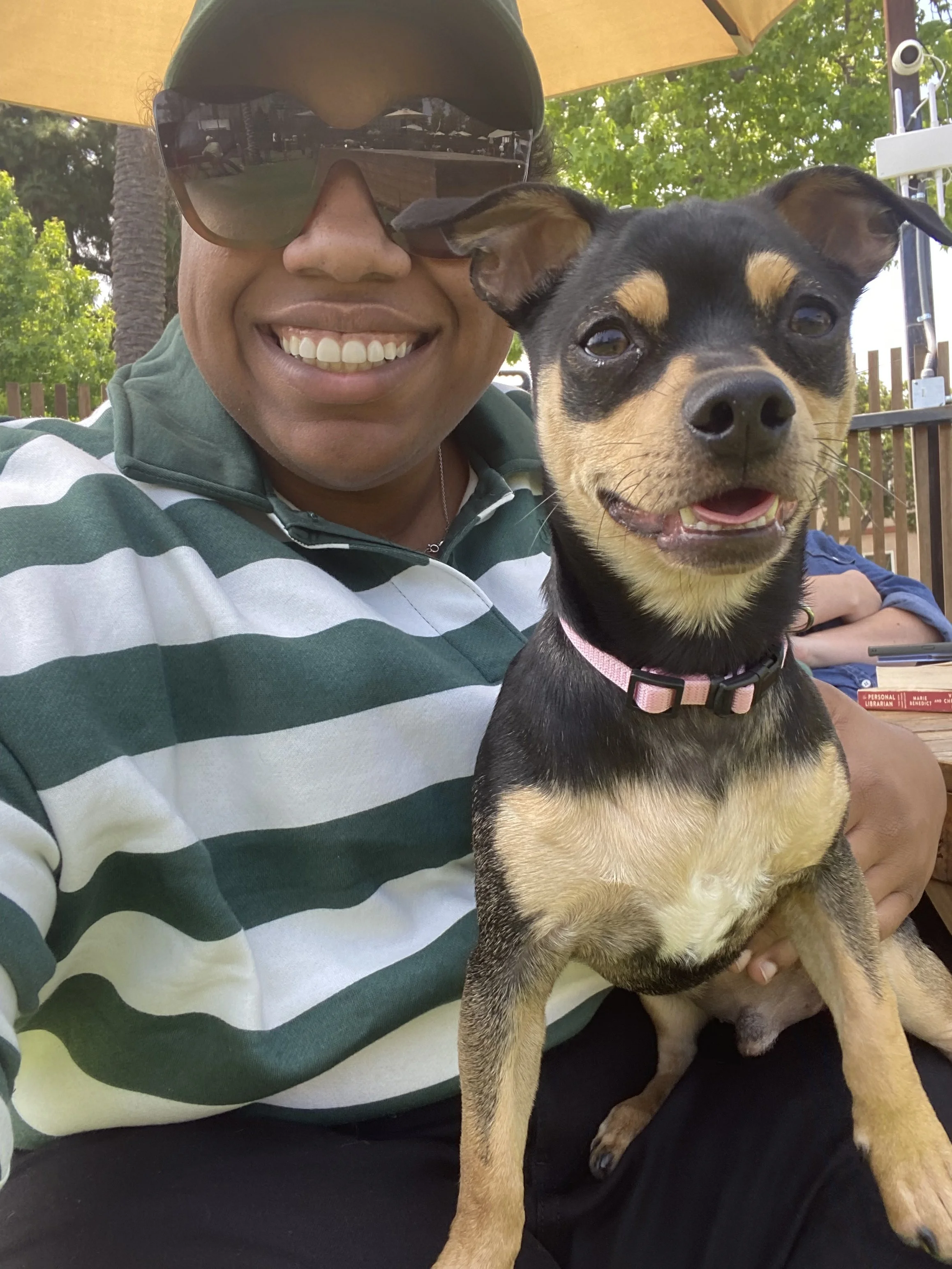 A smiling person wearing sunglasses and a green and white striped shirt is holding a small black and tan dog with pointy ears and a pink collar, outdoors with trees and a fence visible in the background.