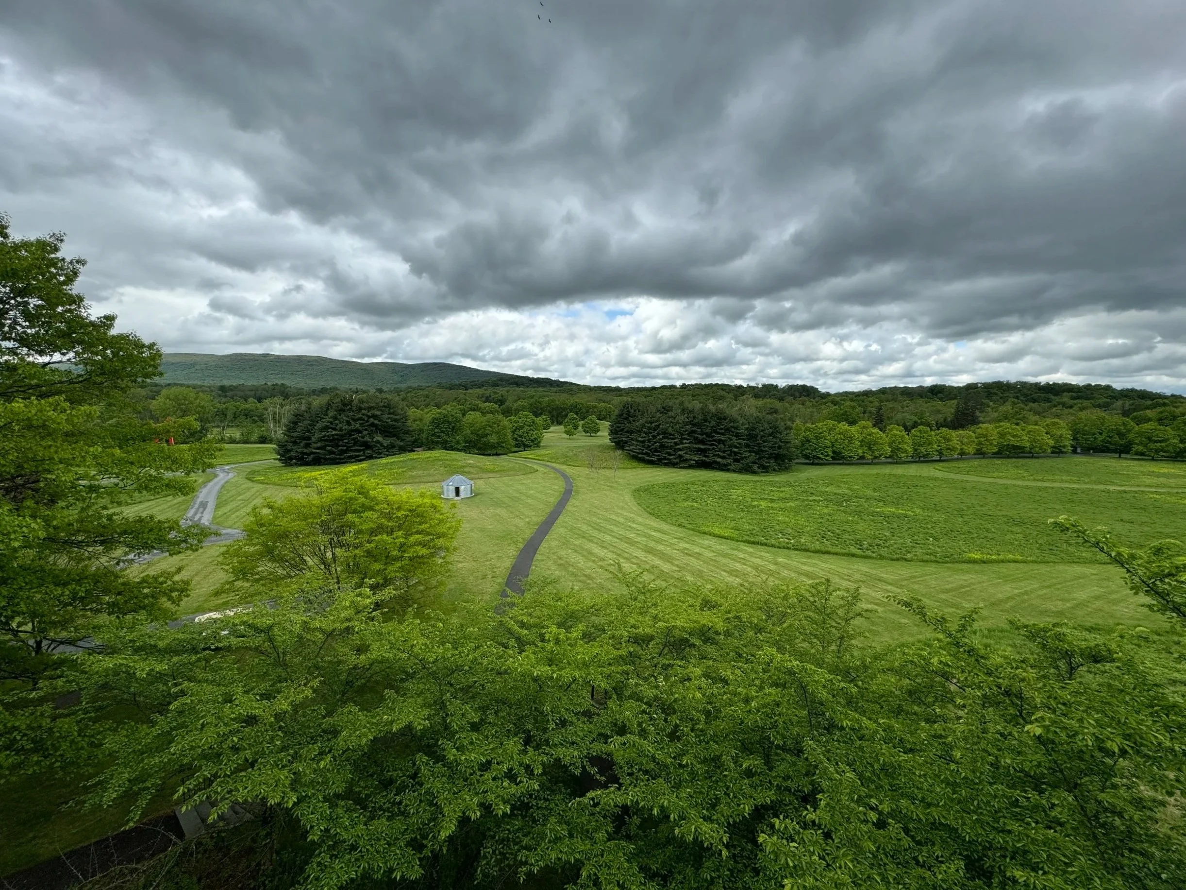 A landscape vista of soft rolling mountains behind manicured green fields lined with unmarked gravel roads  – genealogy research. © Butterworth Research