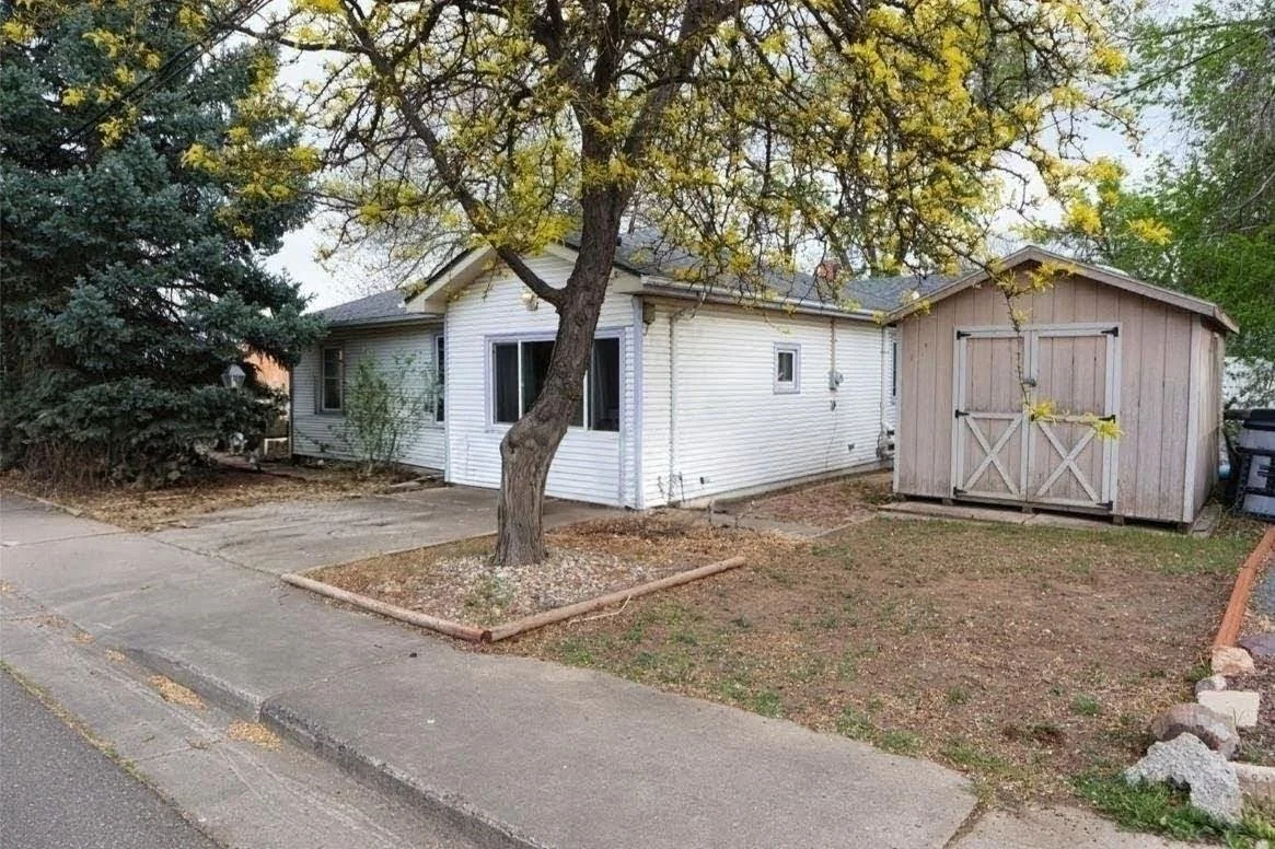 Front yard of a house in need of maintenance with a small weathered wooden shed on the right, a tree in the center, and a sidewalk in front. The house has white siding and a small window, with some overgrowing greenery on the side.