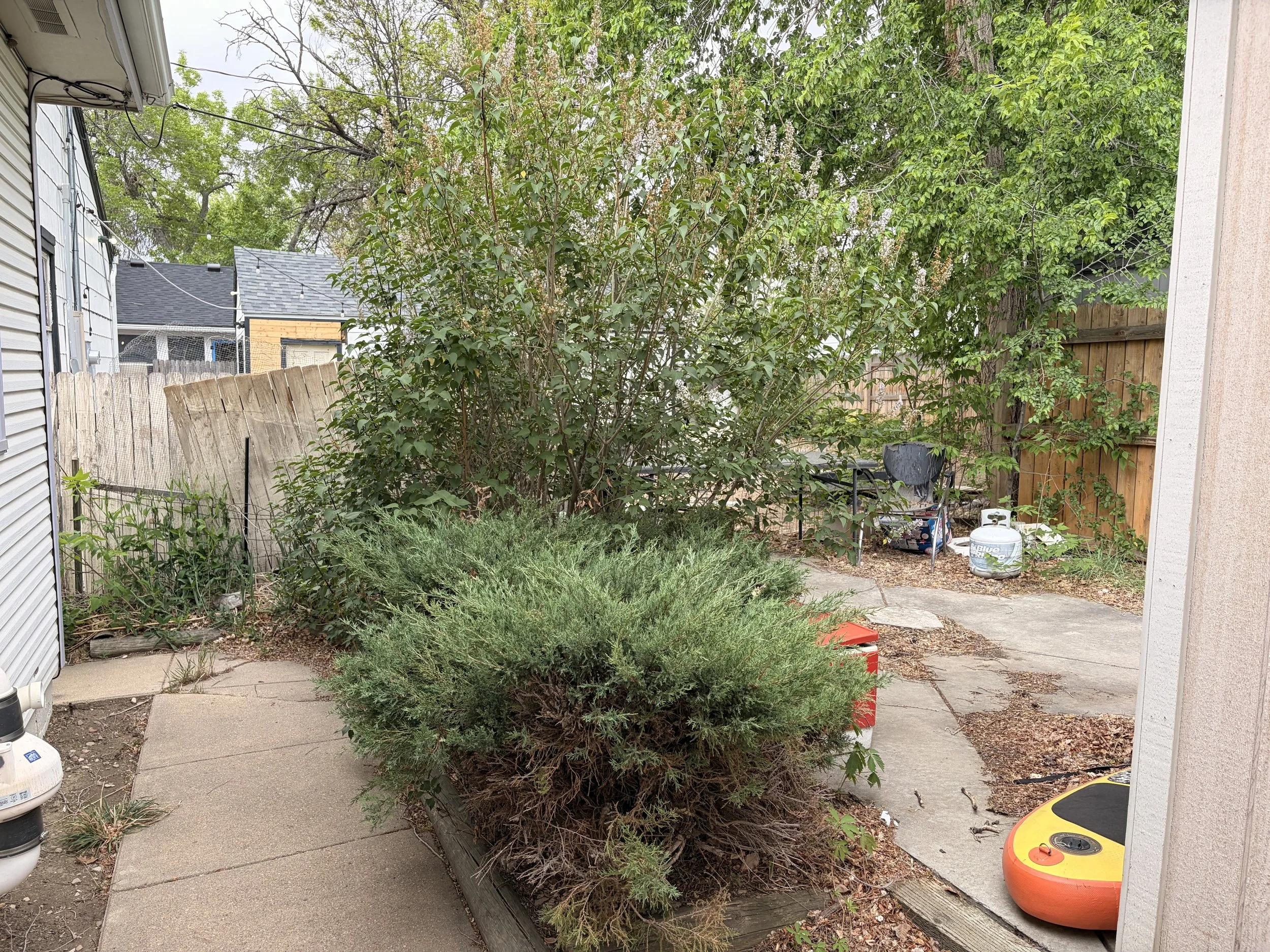 Backyard scene with unmaintained green bushes and trees, a broken wooden fence, house siding, and outdoor equipment like propane tanks, a garden hose, and a small table with chairs.