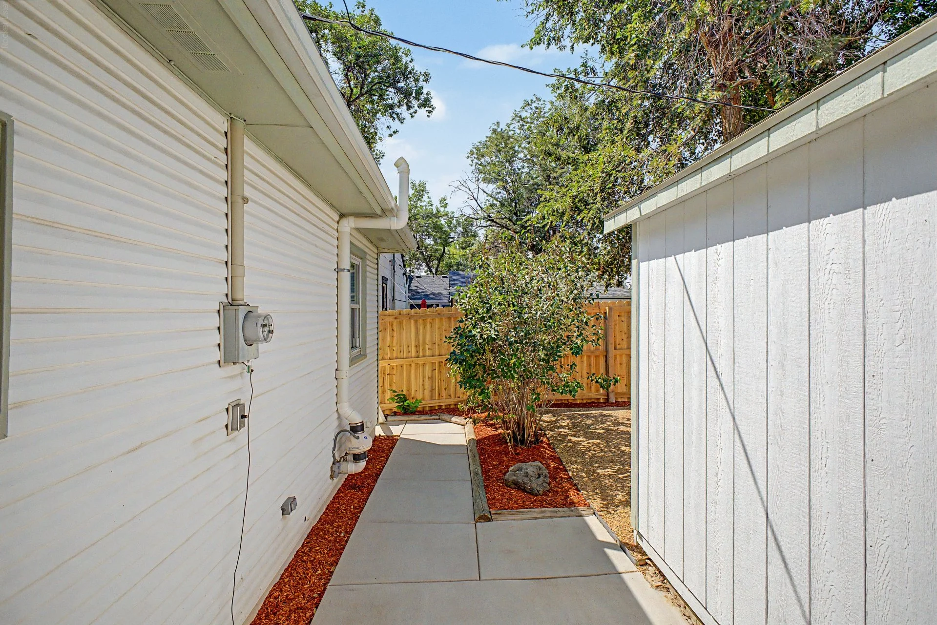 A backyard alley with a new concrete pathway, a white house with horizontal siding on the left, a newly painted white shed wall on the right, a tree with green and purple leaves, and a brand new wooden fence in the background.