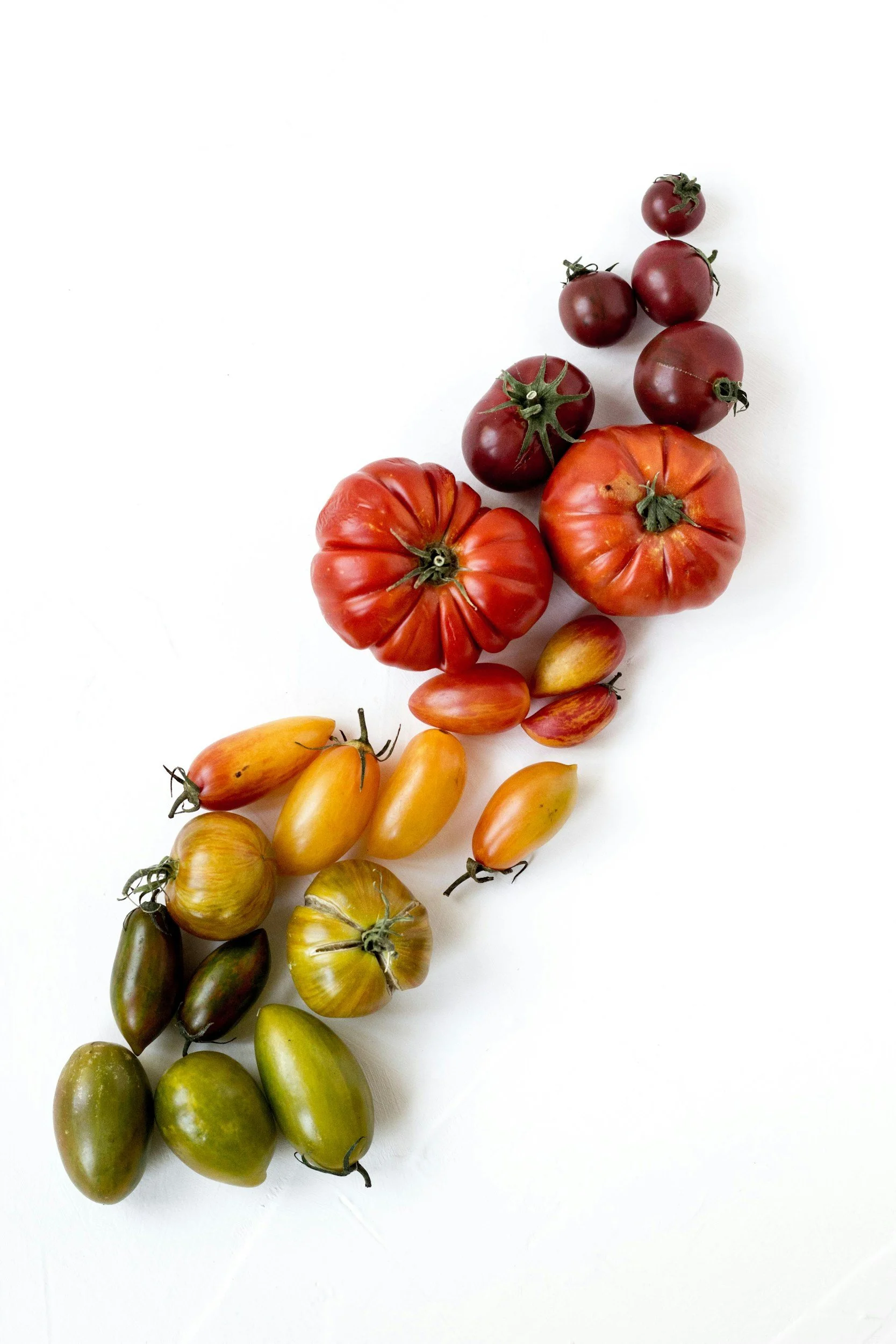 A variety of heirloom tomatoes, including red, orange, yellow, green, and dark purple, arranged on a white background.
