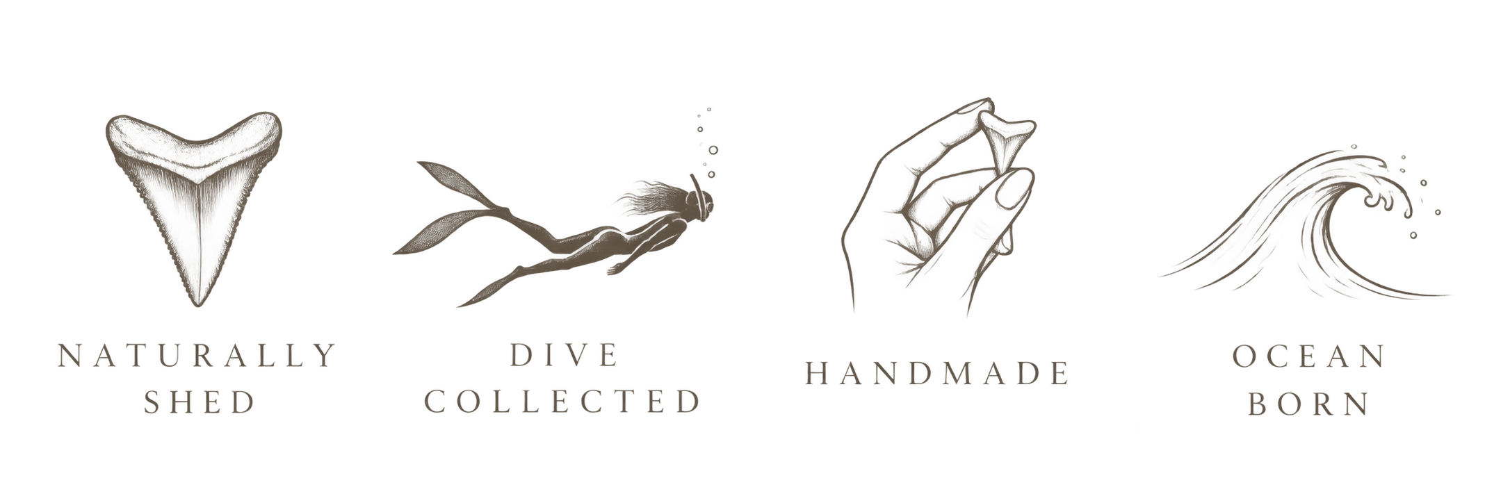 A logo with four sections: a shark fin with the text 'Naturally Shed', a mermaid with the text 'Dive Collected', a camera with the text 'Handmade', and a wave with the text 'Ocean Born'.
