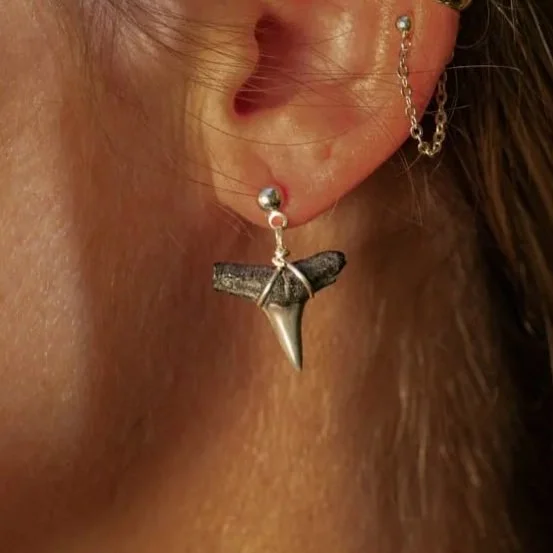 Shark Tooth Drop Earrings