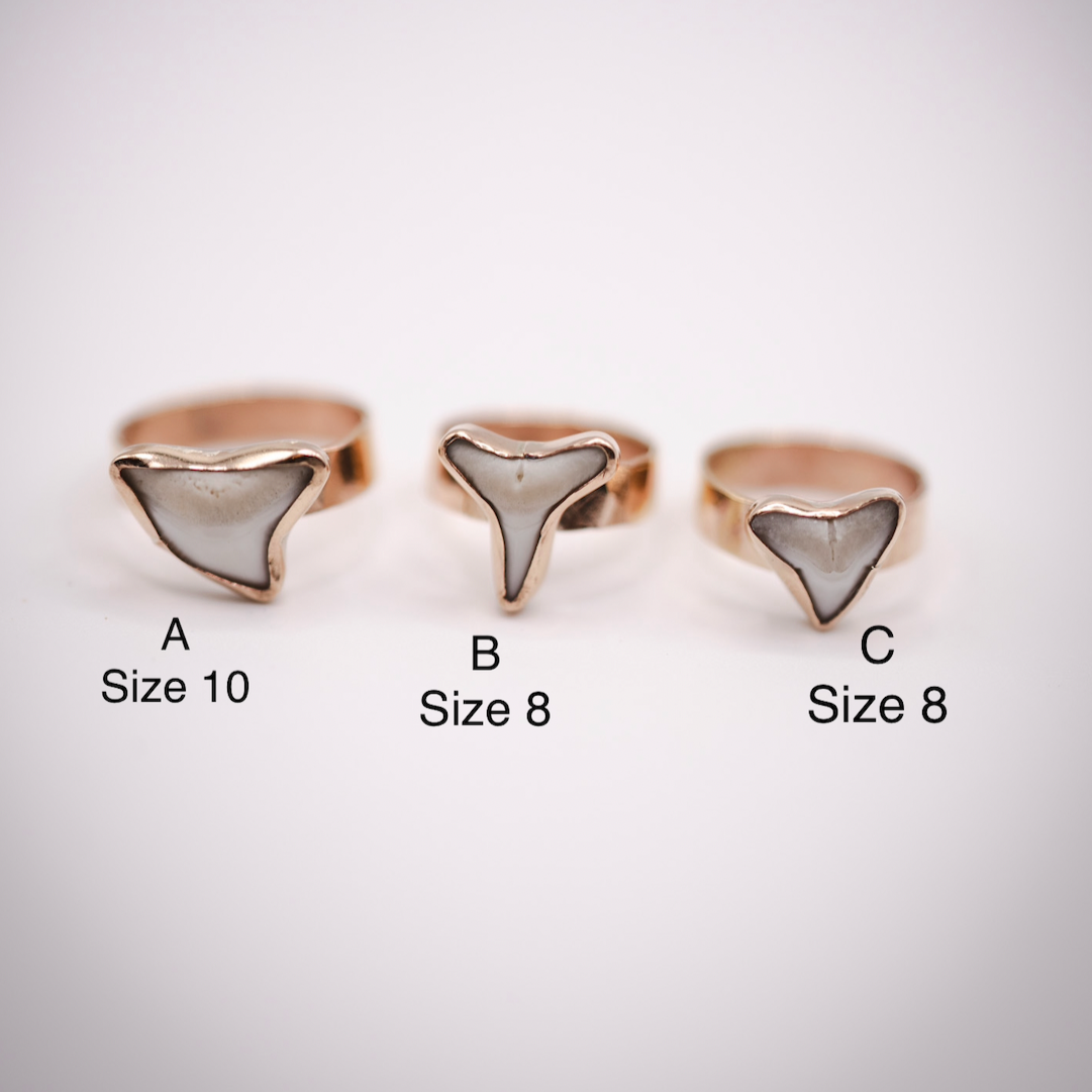 Simple Gold Rings