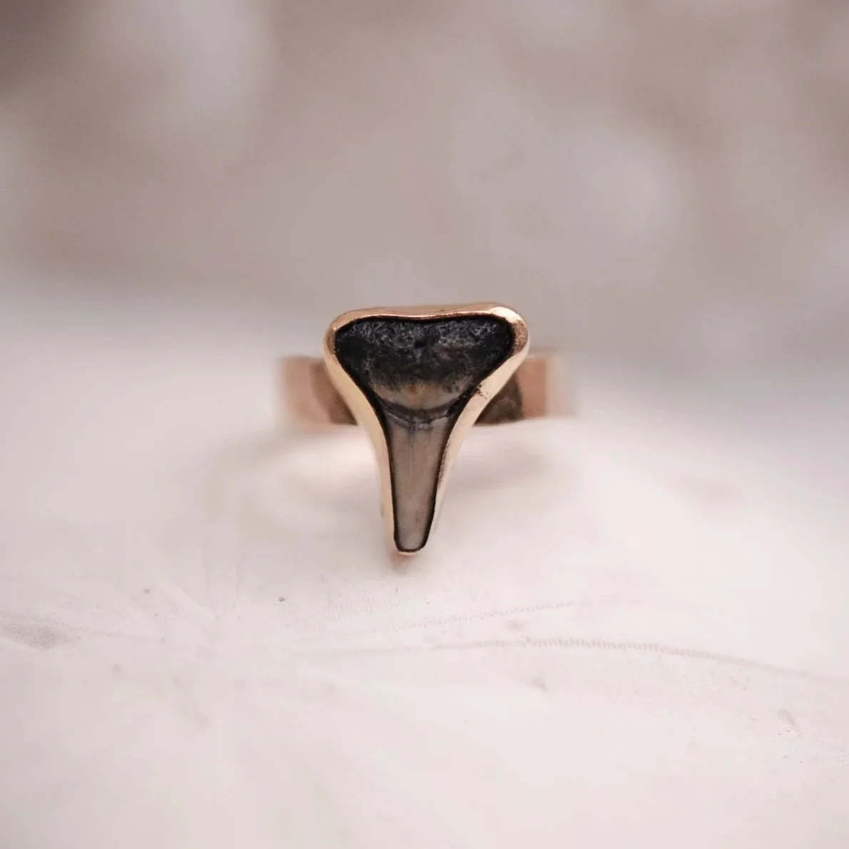 Gold Lower Jaw Bull Ring Size 6.5