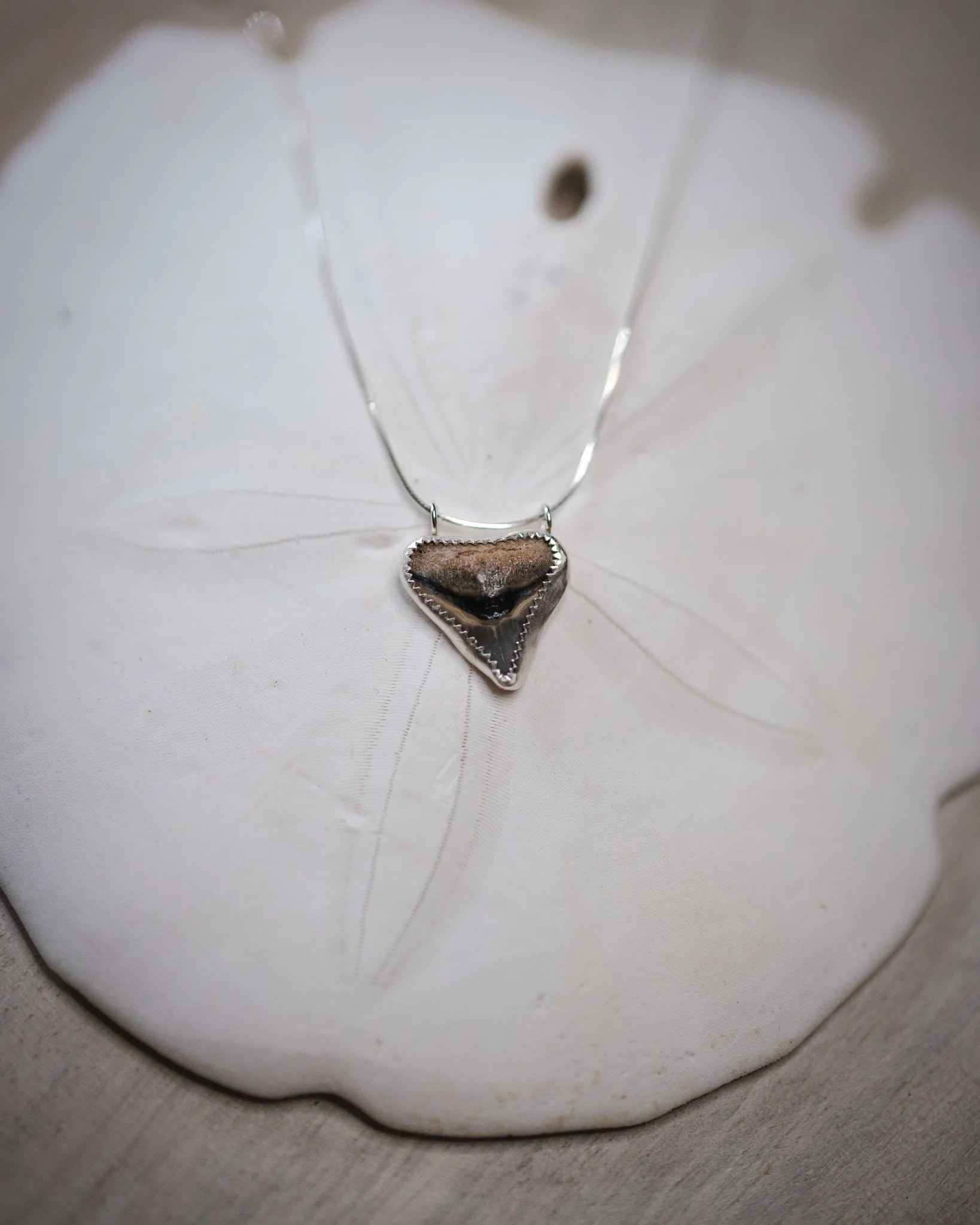Bold Bull Necklace