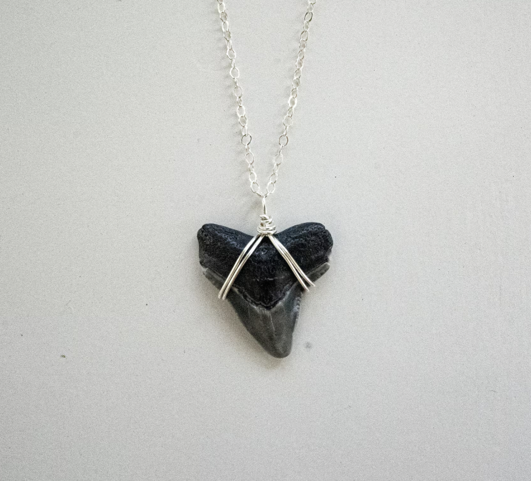 Silver Wrapped Shark Tooth Necklace