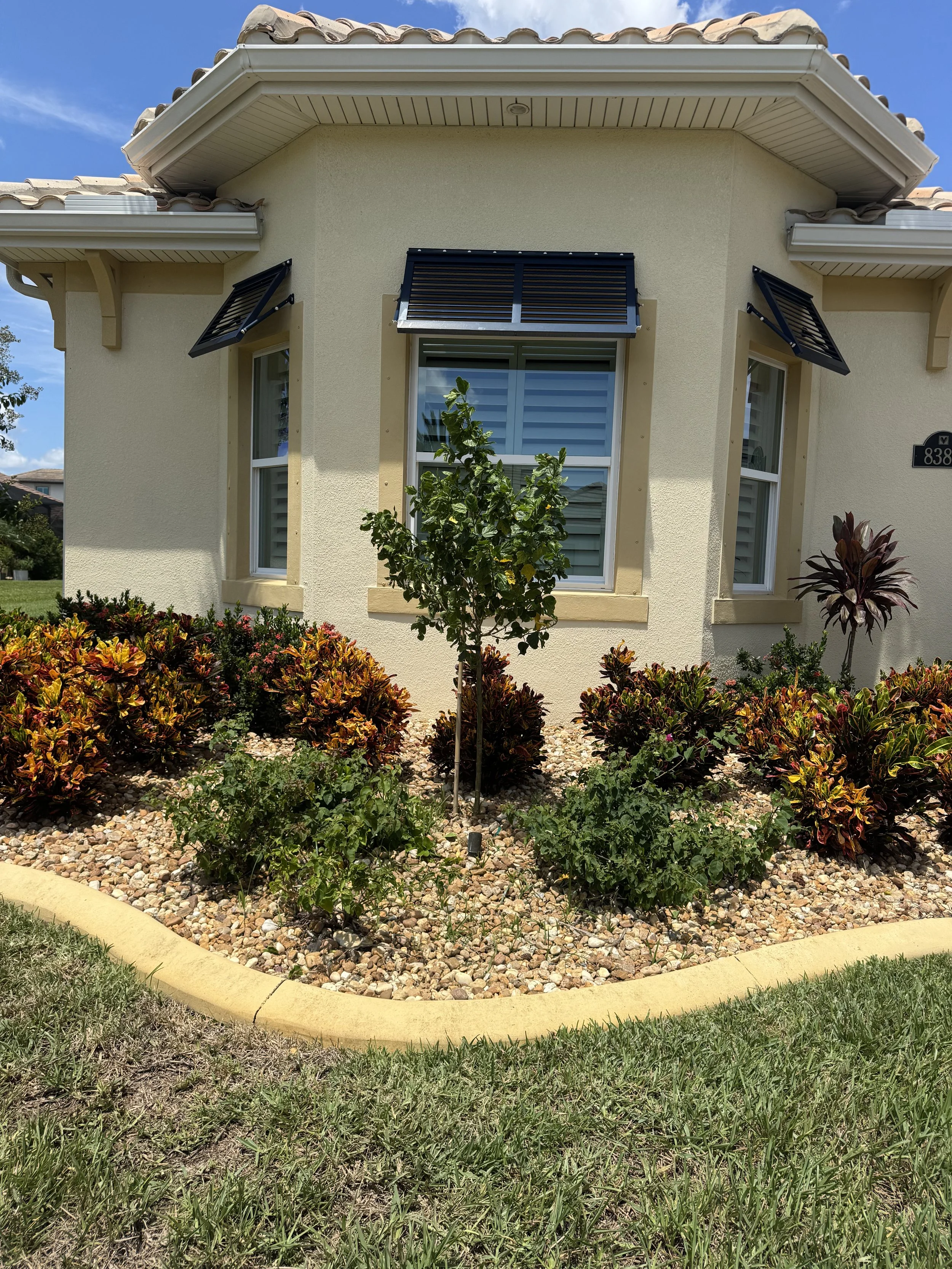 Front view of a yellow house with two windows, black metal awnings, and a garden with colorful shrubs and a small tree, under a blue sky.