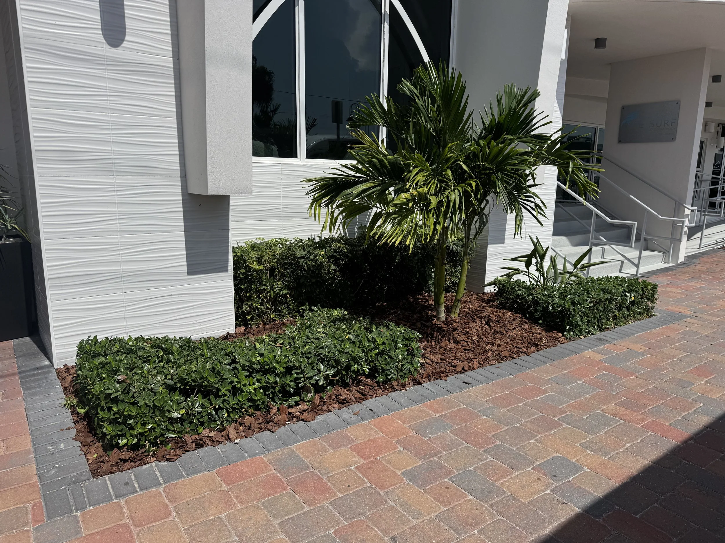Exterior scene of a building with white textured paneling, a large window, and a small garden bed with green plants and mulch, bordered by brick and gray paver stones.