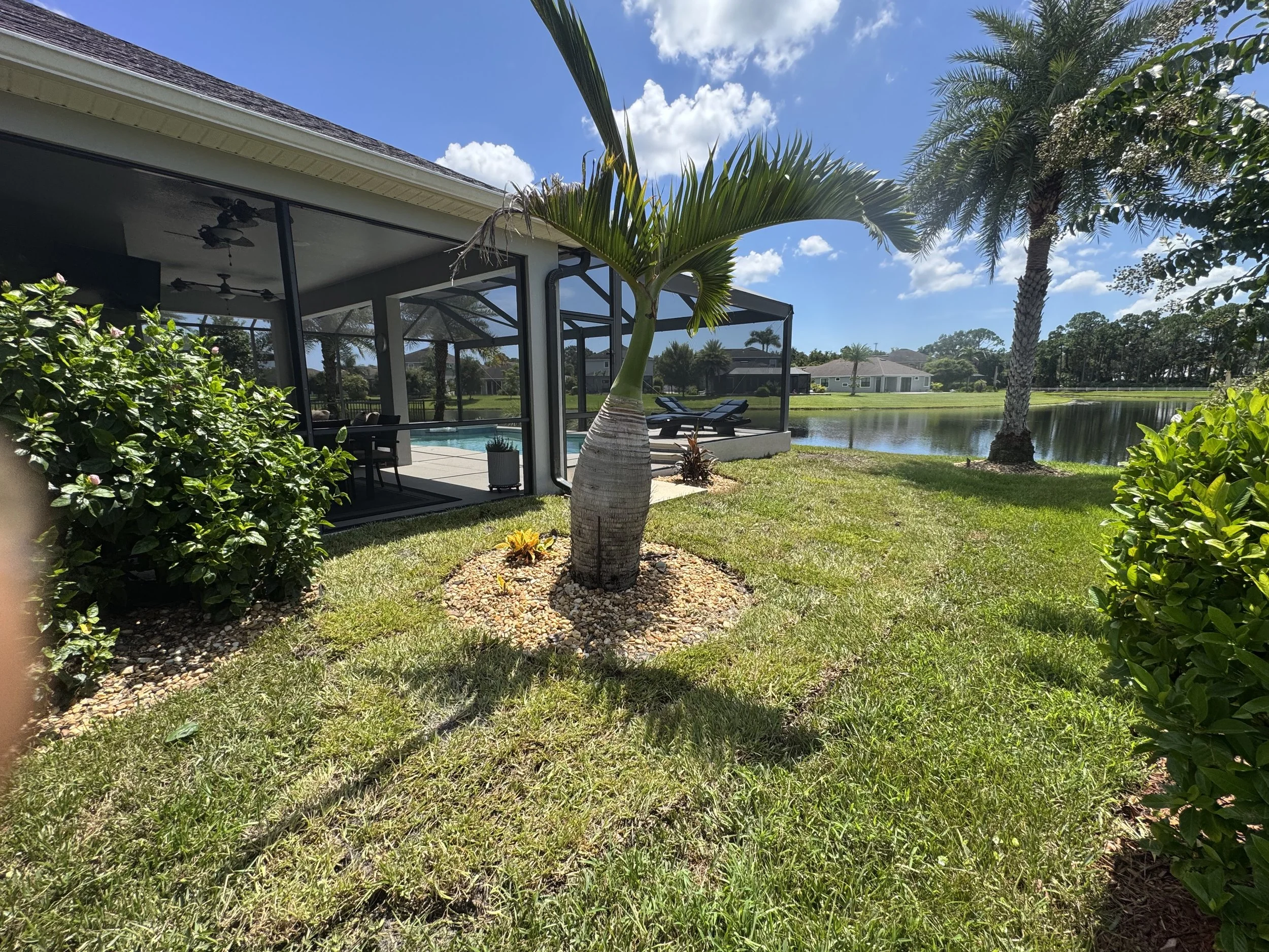 A backyard with a screened porch, palm trees, a grassy lawn, and a water canal behind the houses, under a bright blue sky with some clouds.