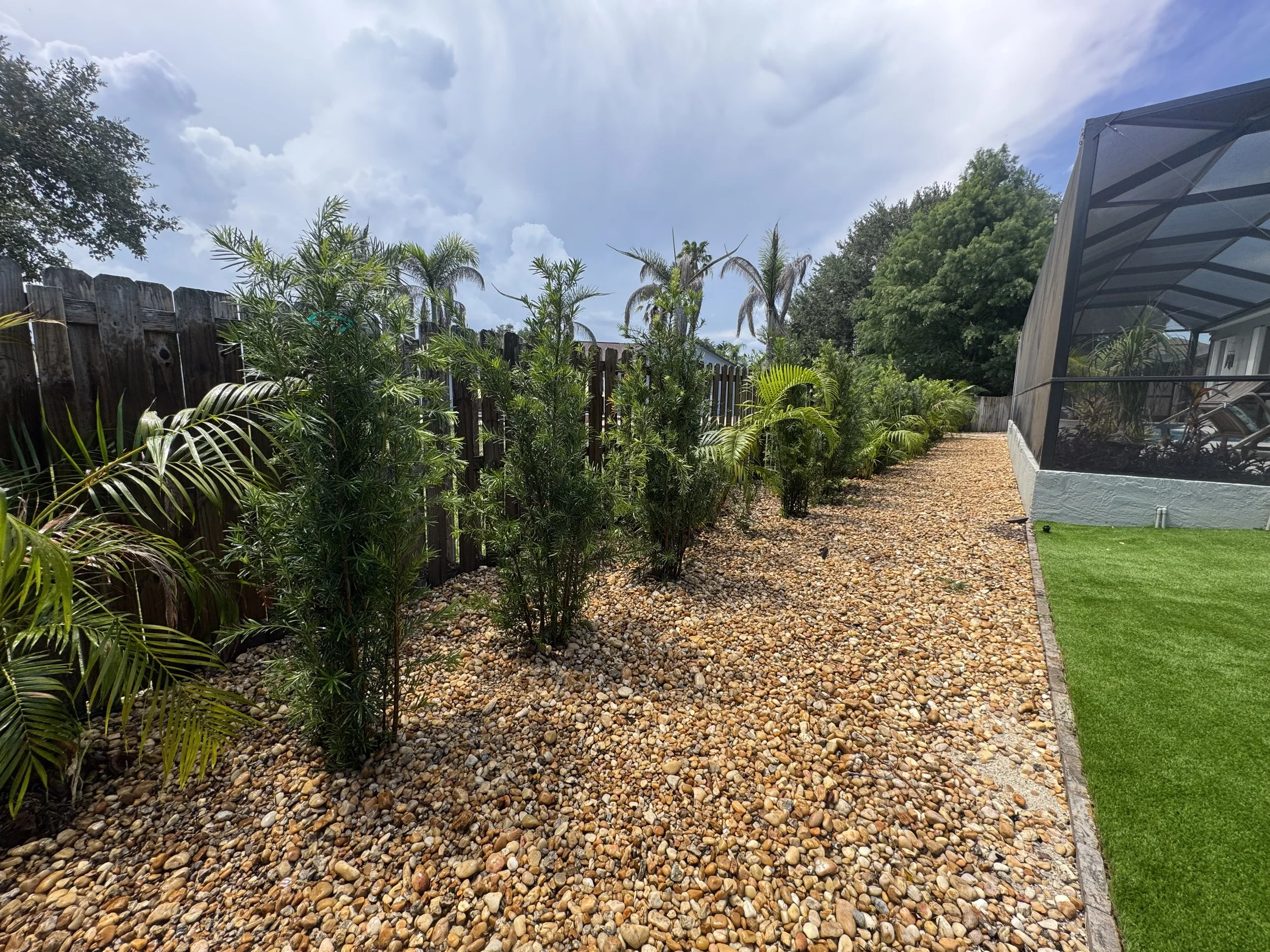 A backyard with a gravel pathway, fencing, tropical plants, a cloudy sky, and a screened porch with outdoor furniture.