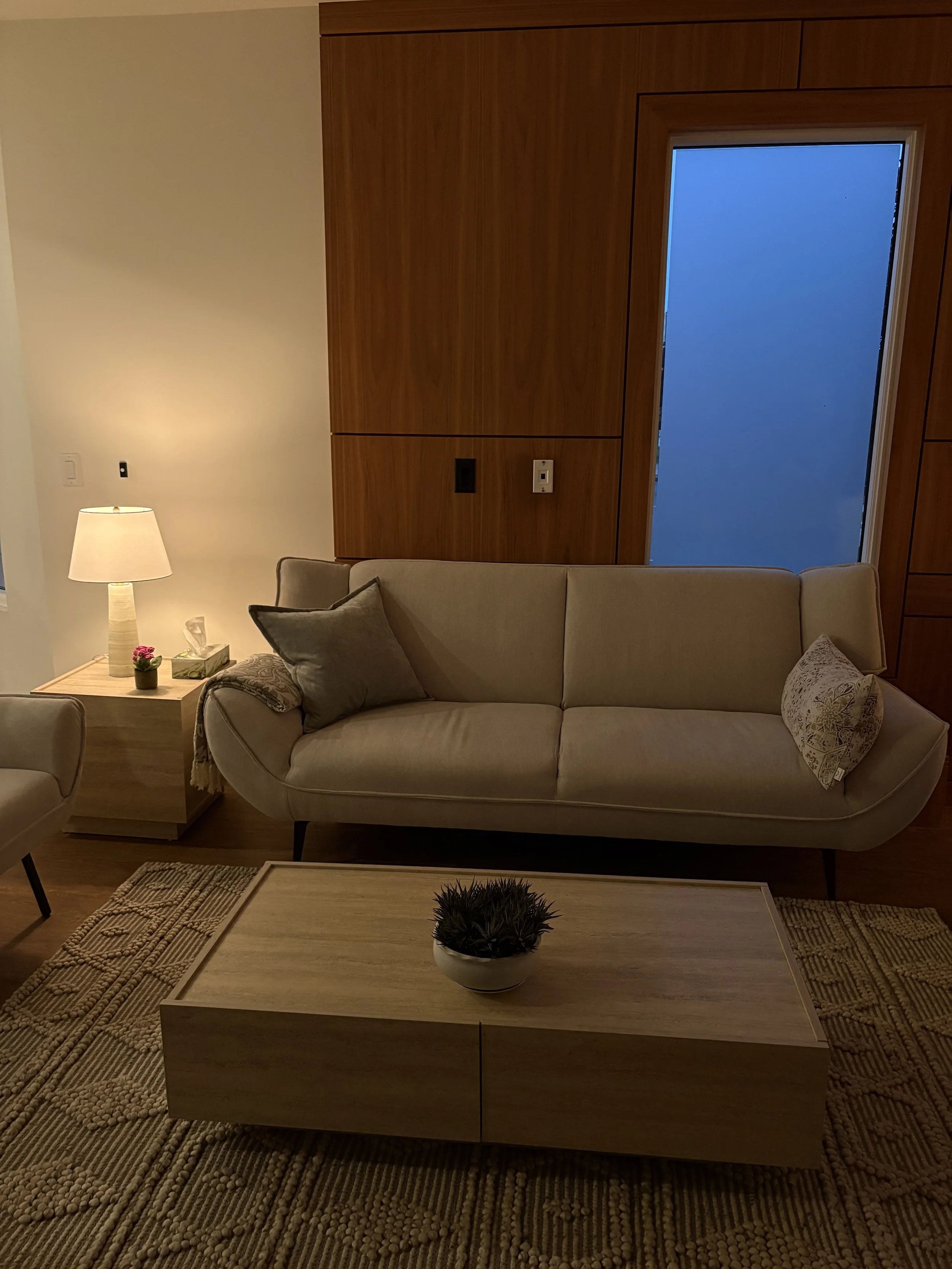 Living room with beige sofa, decorative pillows, wooden coffee table with a potted plant, beige area rug, side table with lamp, and wooden paneling on the wall with a blue-tinted window.