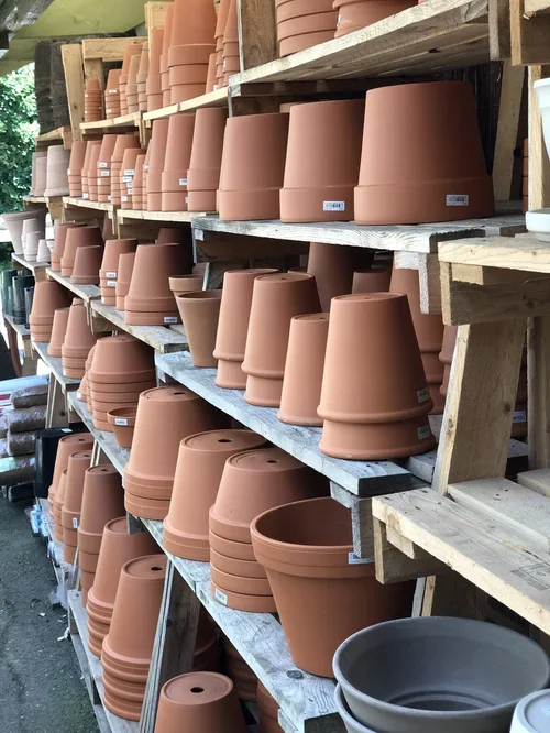 IMG_1400.webp