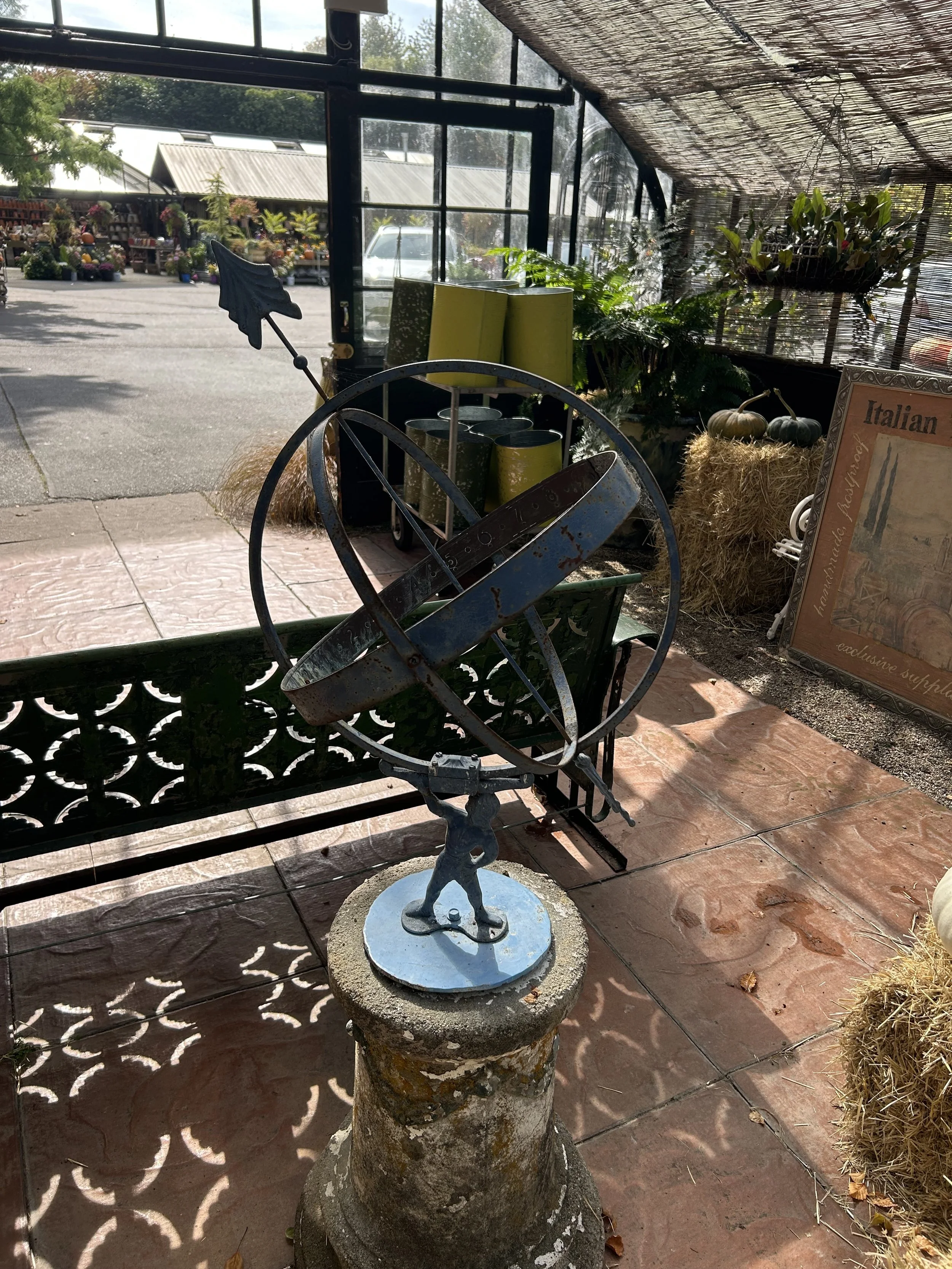 IMG_6311.jpeg