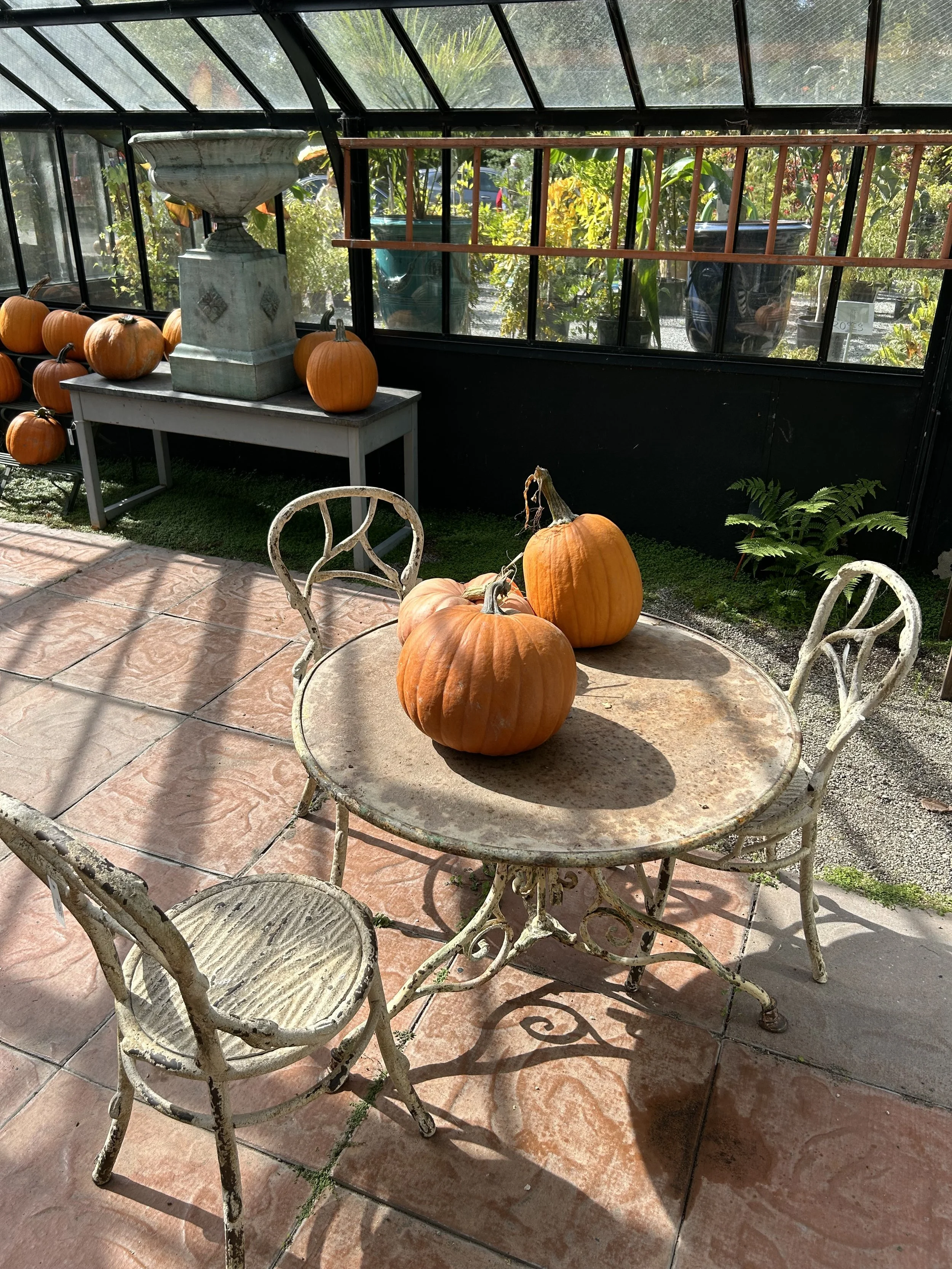 IMG_6324.jpeg