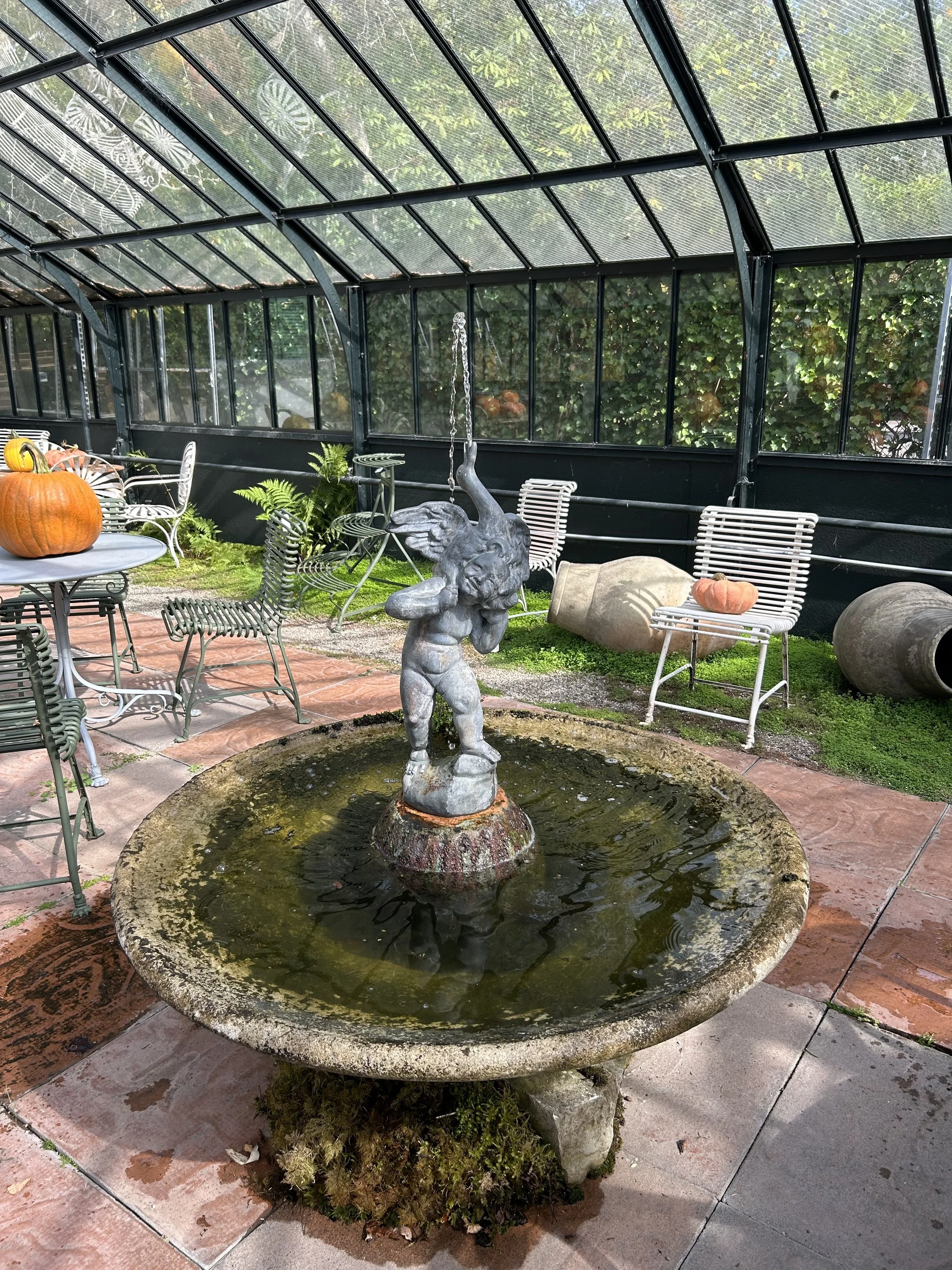 IMG_6313.jpeg