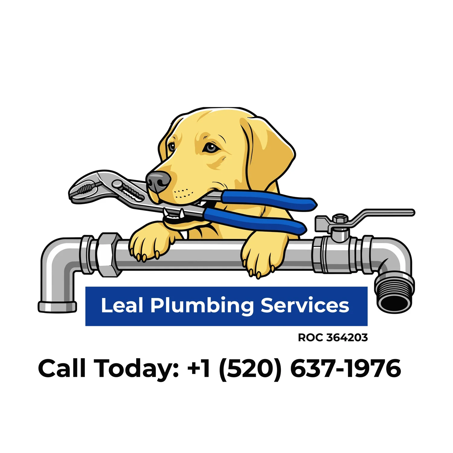 LealPlumbingServices LLC