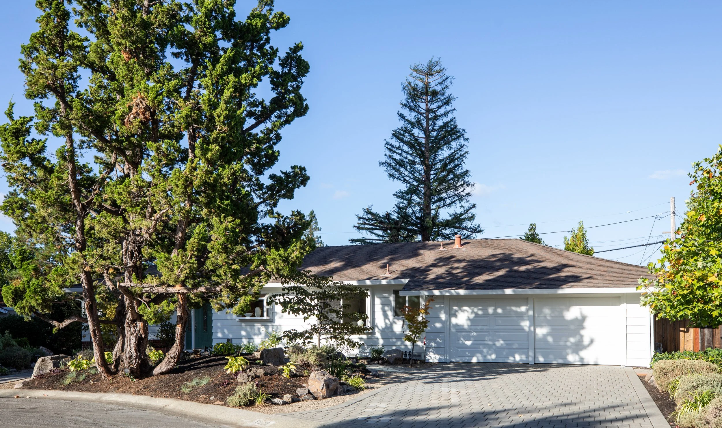 1-Laver_Matt_Anello-1382-MLS.jpg