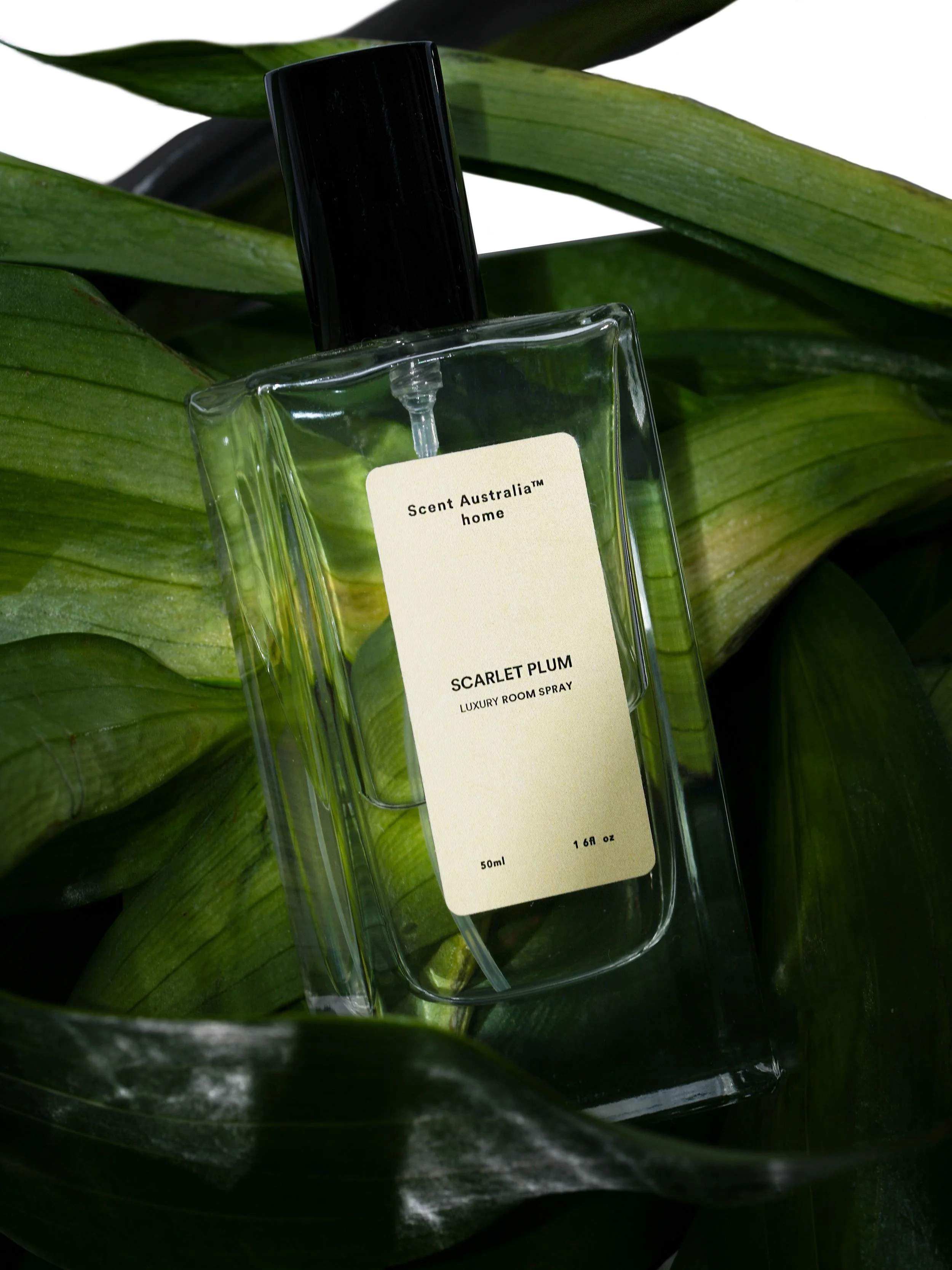 LIGHTS, CAMERA, ACTION! This masterpiece of an image didn&rsquo;t come together overnight&hellip;

A hero shot is one of my favourite ways to highlight key product details loud and clear. Alongside Intentional styling, this is one way to simply eleva