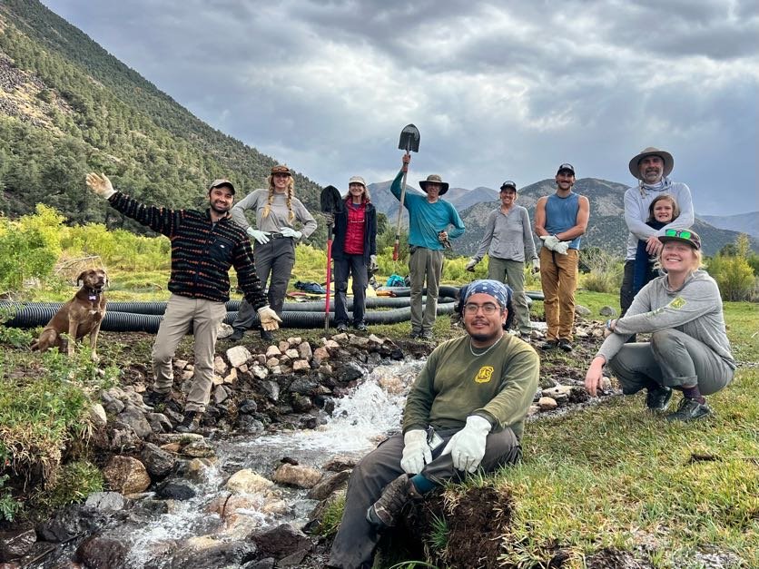 Davis Creek Meadow Restoration - 2025