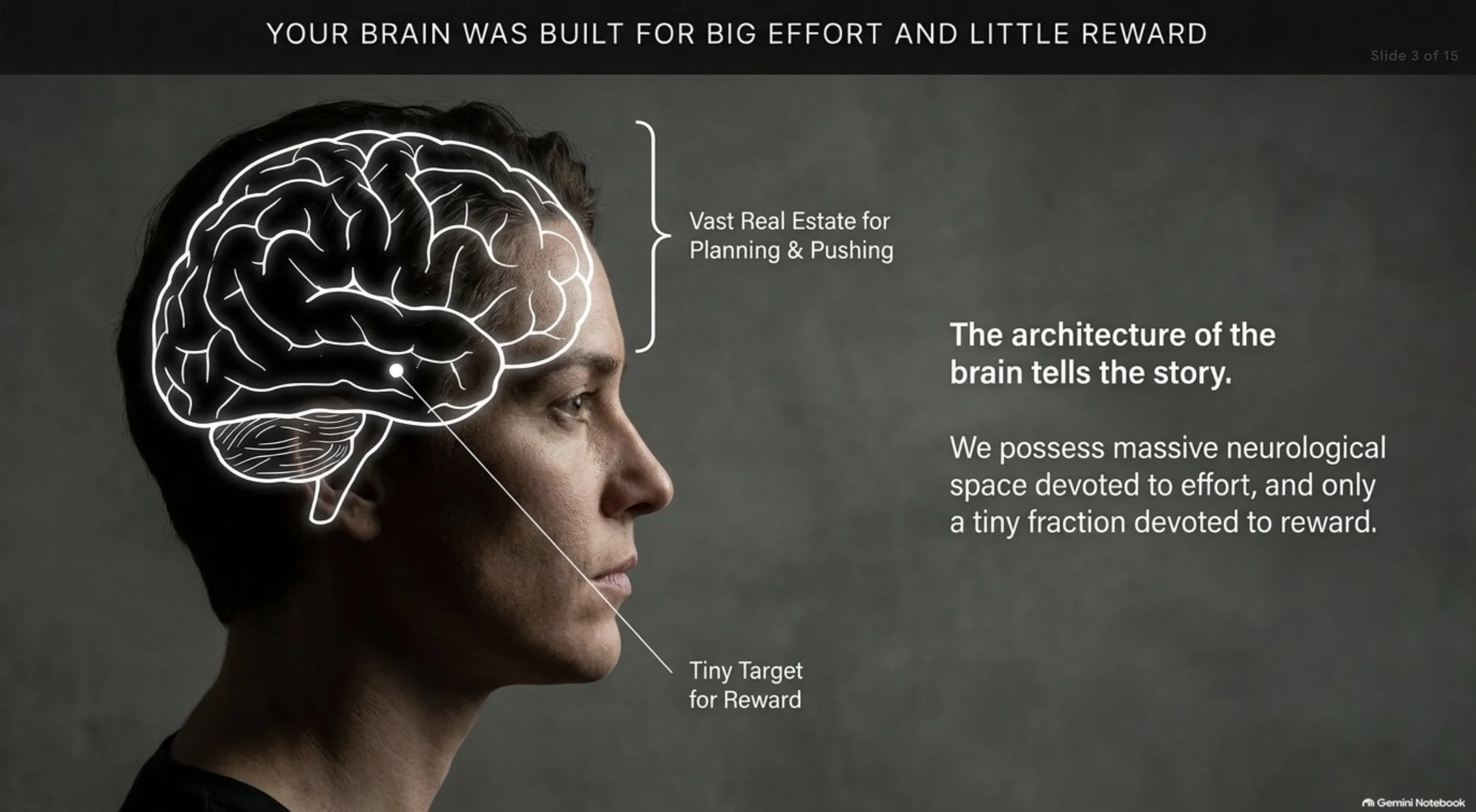 Your Brain Was Built for Big Effort and Little Reward