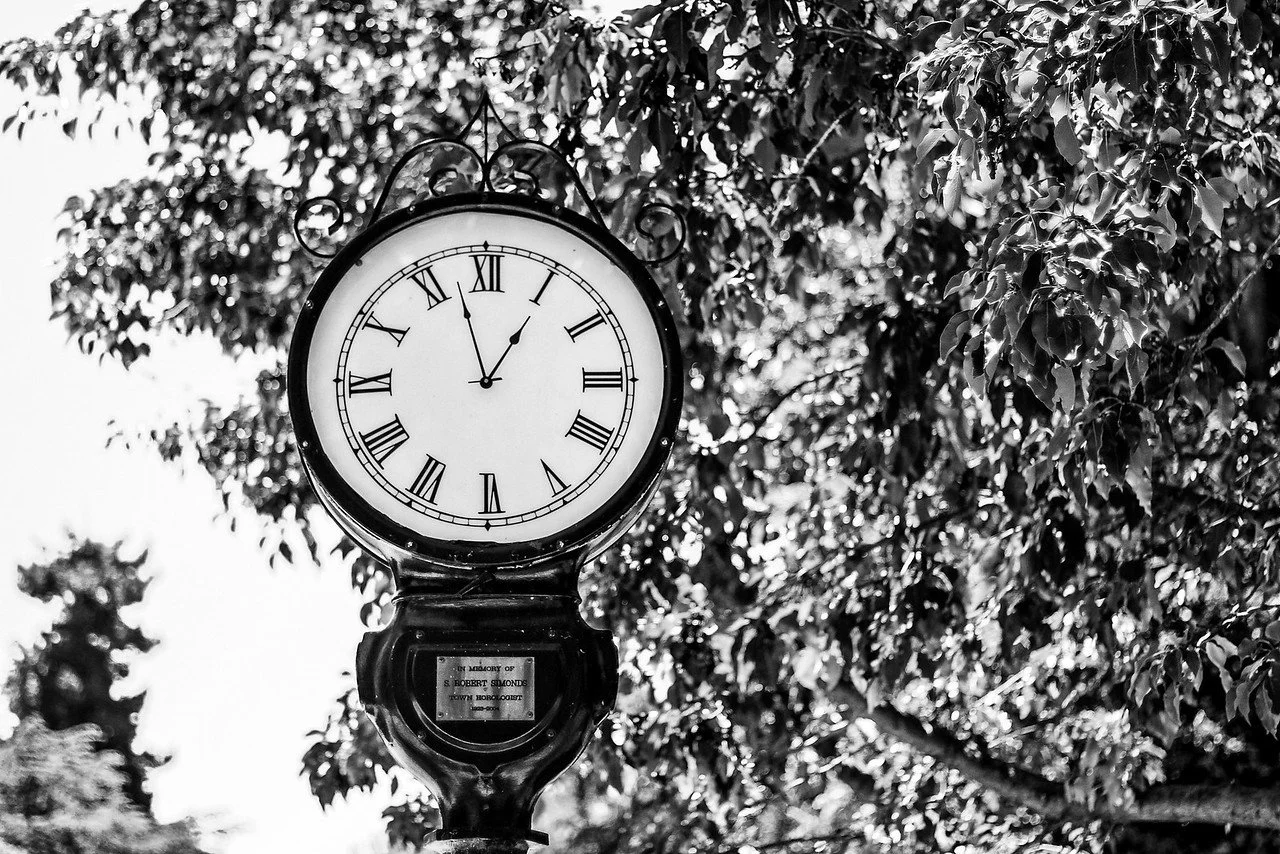 A vintage outdoor clock showing the time as 12:05, mounted on a pole with trees and foliage in the background.