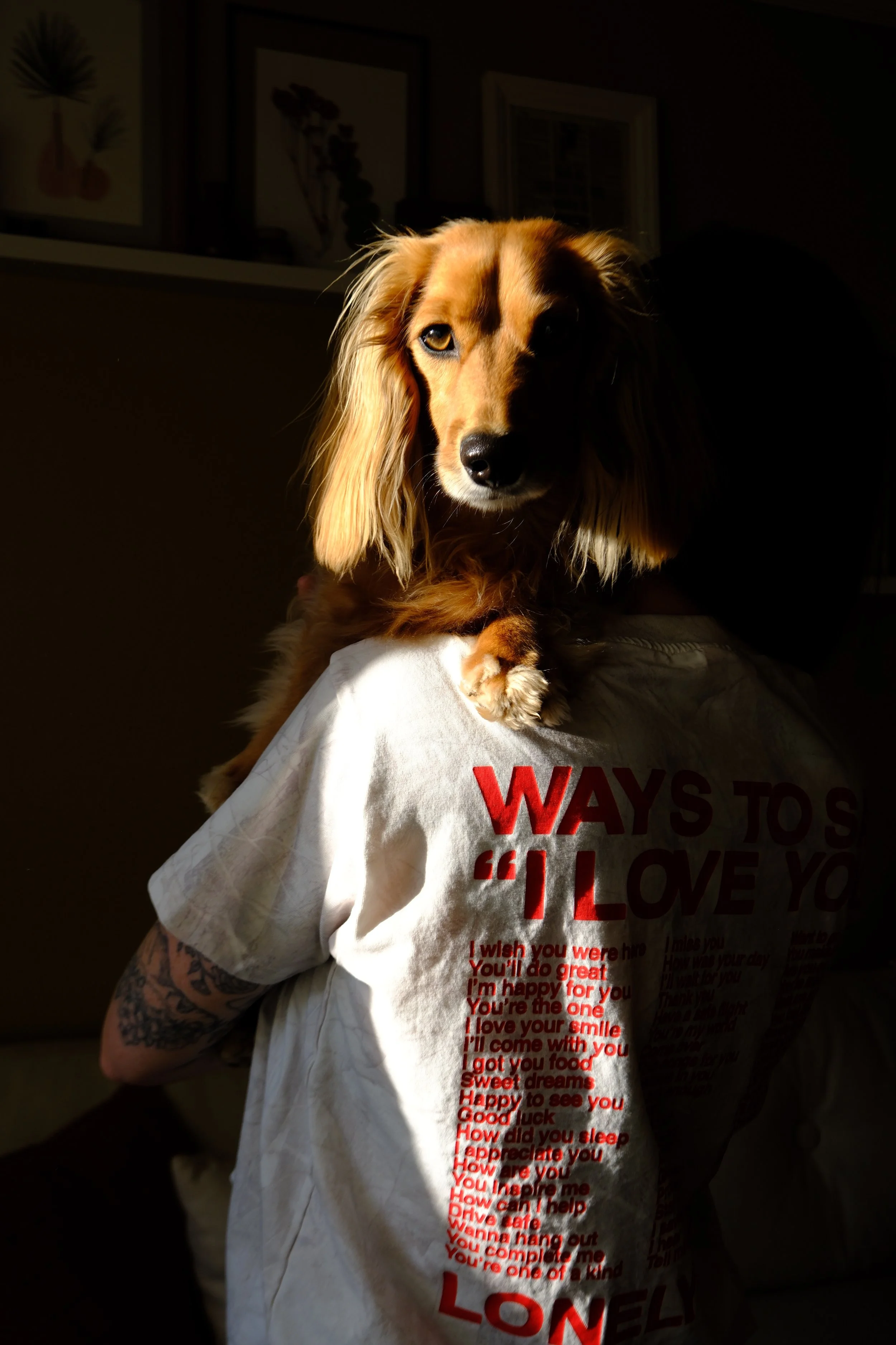 DSCF7470.JPG