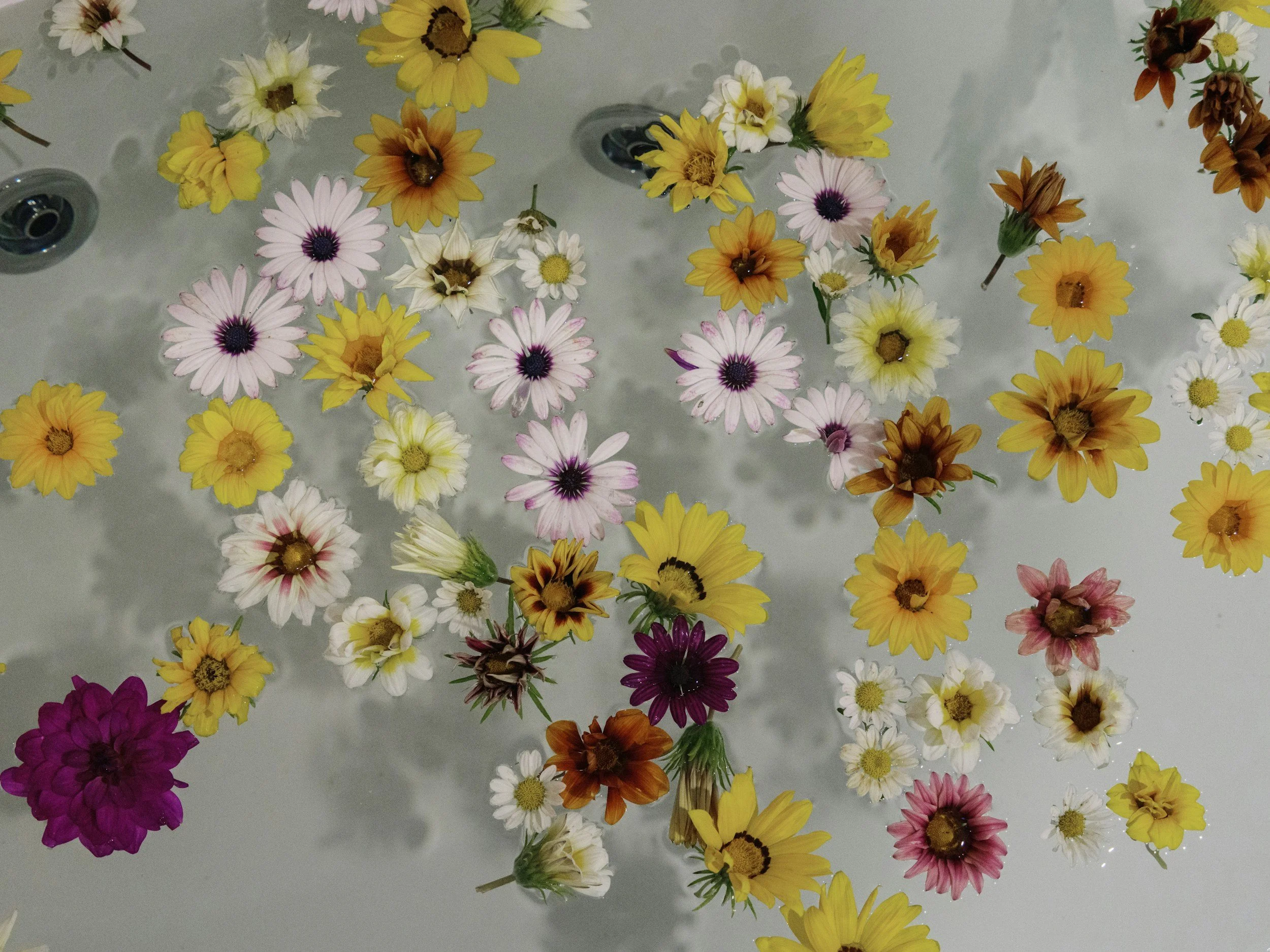 A collection of various colorful flowers floating in a water container.