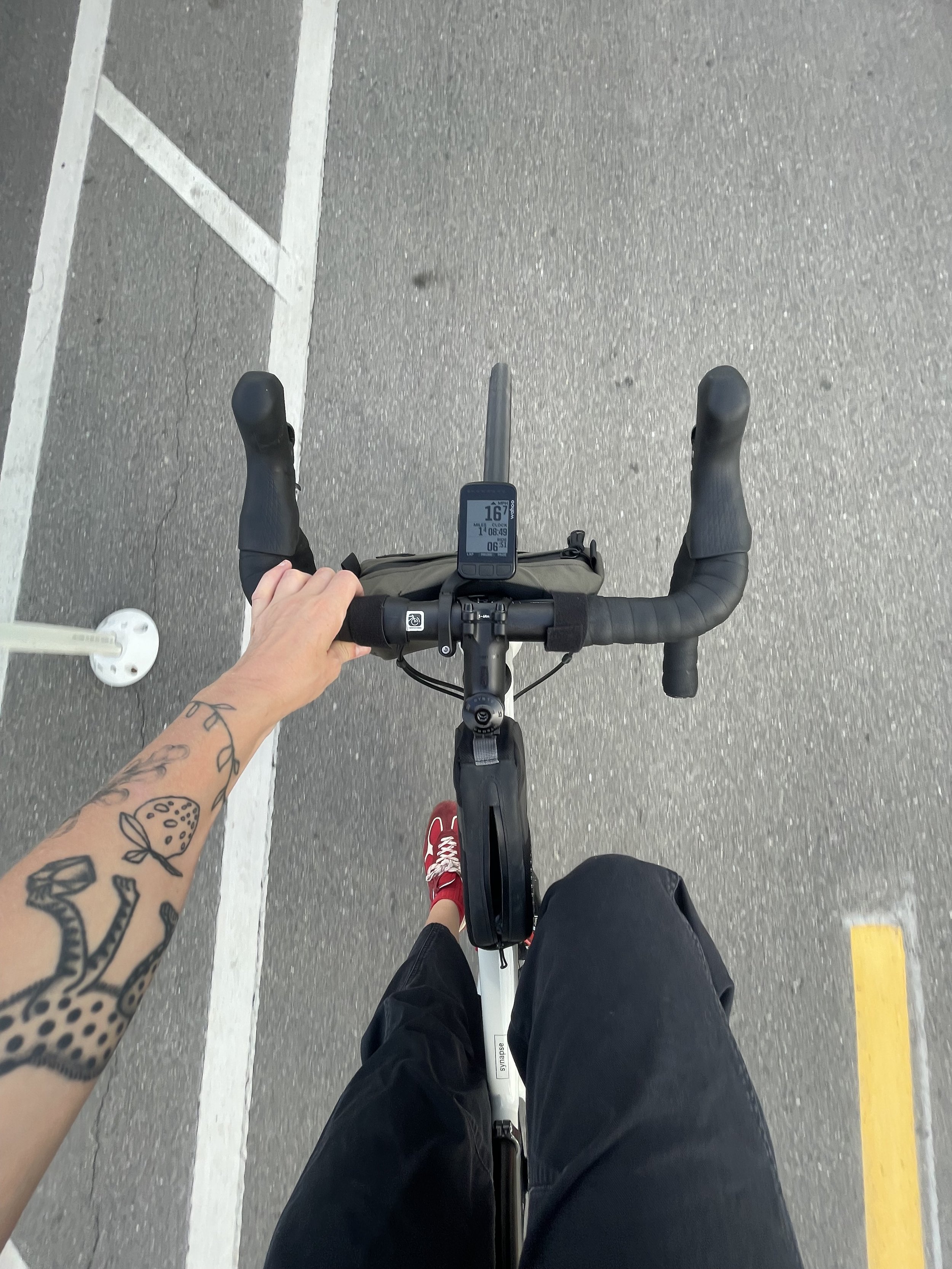 Mistor Gardens_cycling10.jpeg