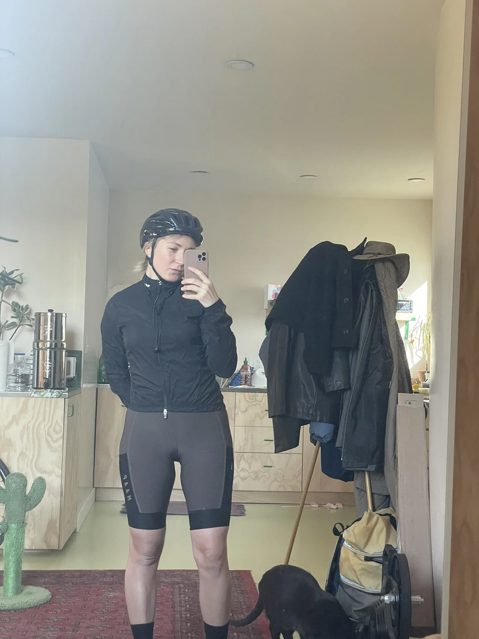 8C1834FE-3572-481D-9E30-FA72AE340CB1_1_102_o.jpeg