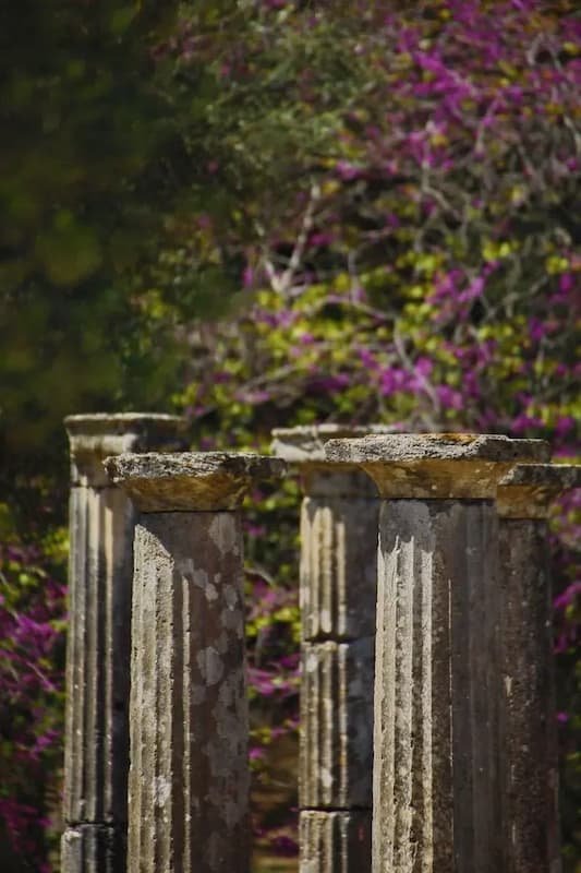 a greek column with purple flowers on it