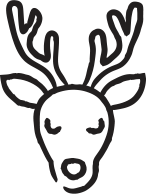 Line drawing of a reindeer's head with antlers and a smiling face.