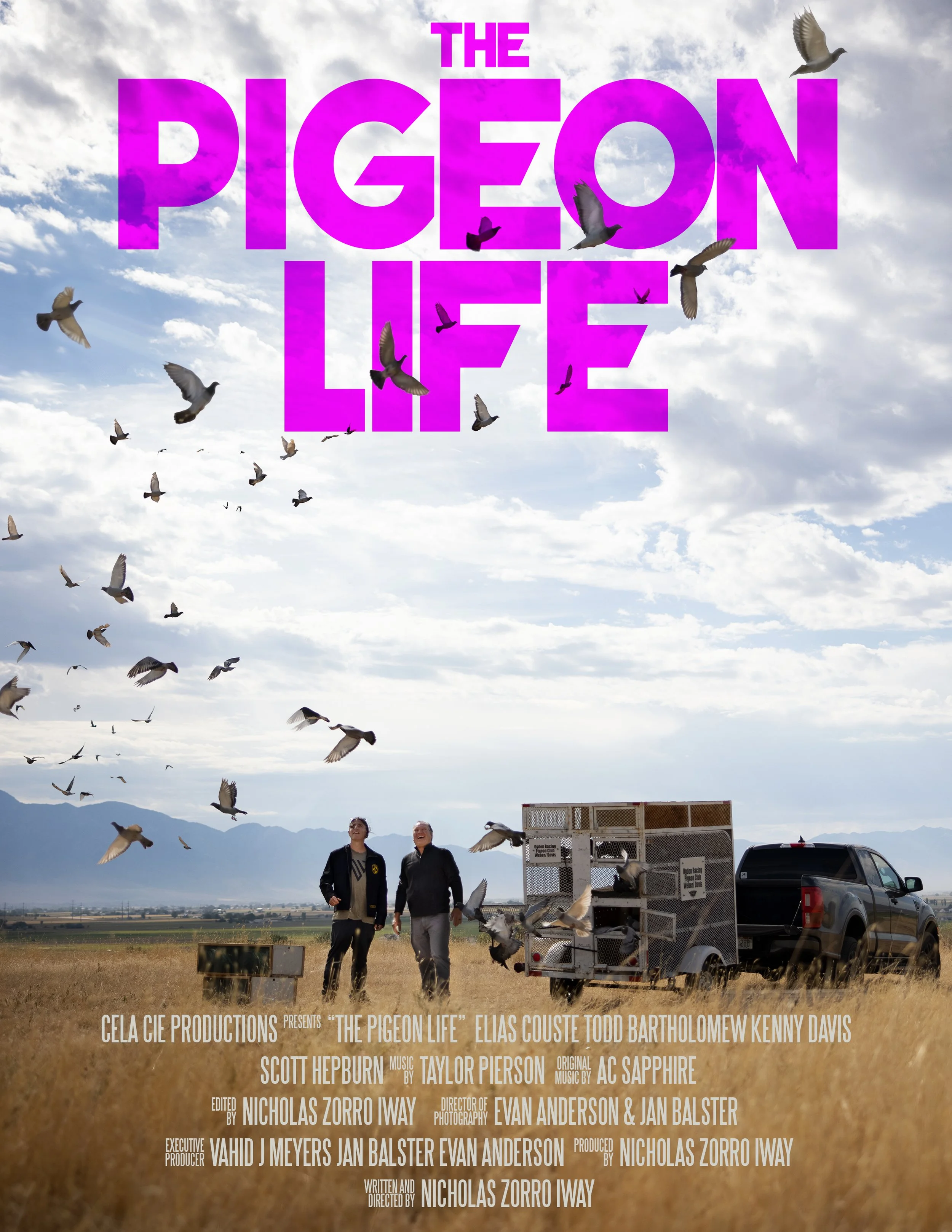 The Pigeon Life Poster #1
