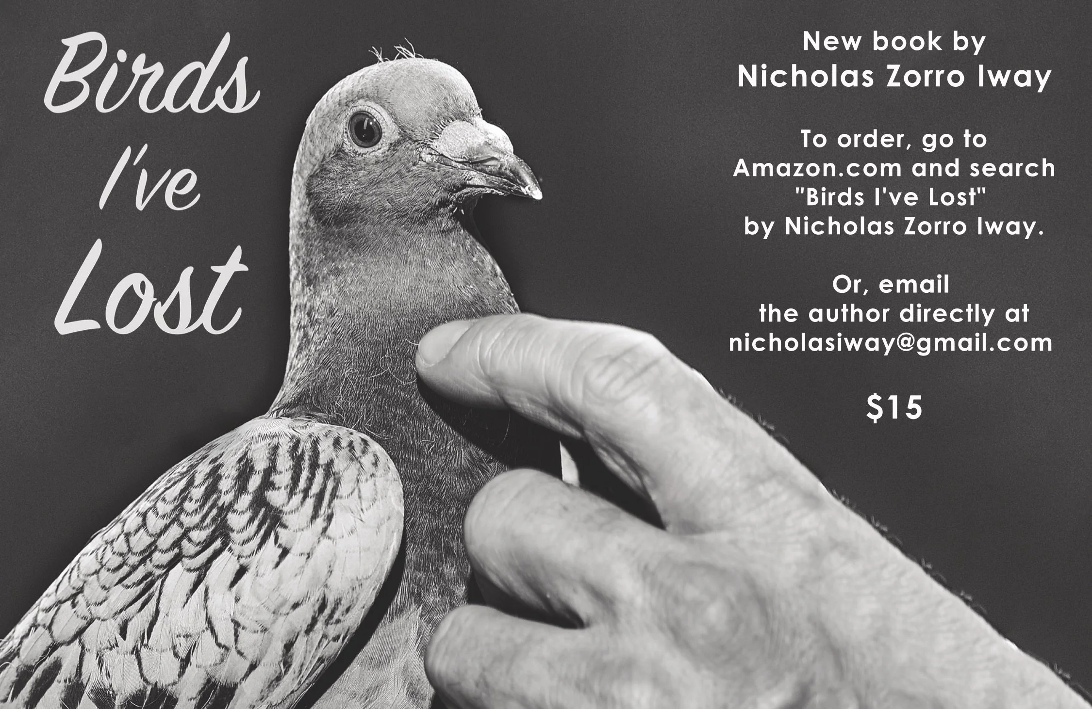 Nick Iway_BookAd_7.5x4.875 copyJPEG.jpg