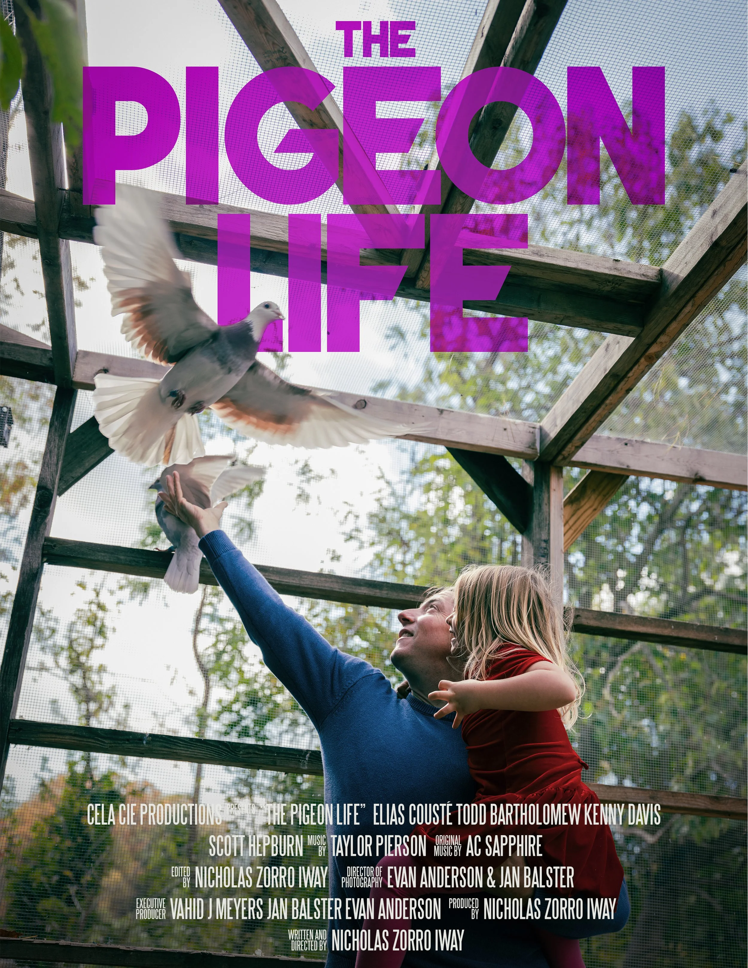 The Pigeon Life Poster #2