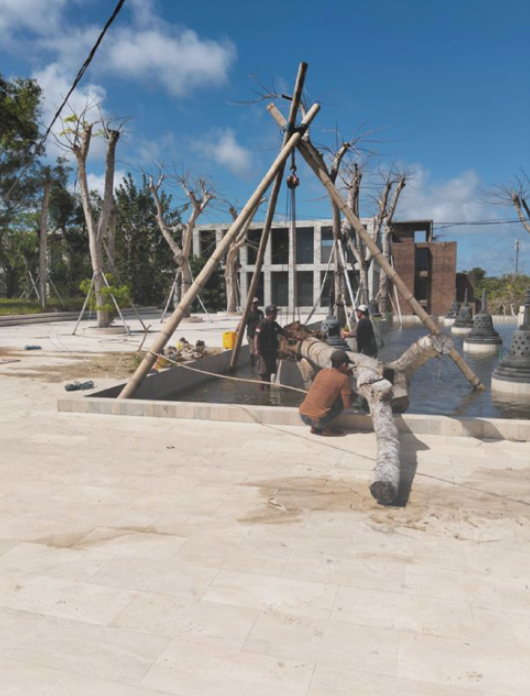 Workers building a wooden structure over a shallow pool of water in an outdoor area.