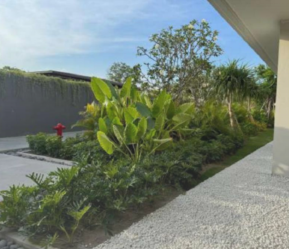 A garden with lush green plants, trees, and shrubs along a gravel walkway, with a wall, a red fire hydrant, and a clear blue sky in the background.