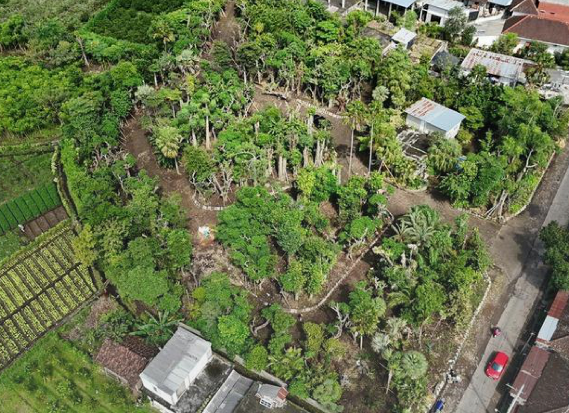 Aerial view of a lush, green garden with trees, plants, and pathways, surrounded by houses and streets.
