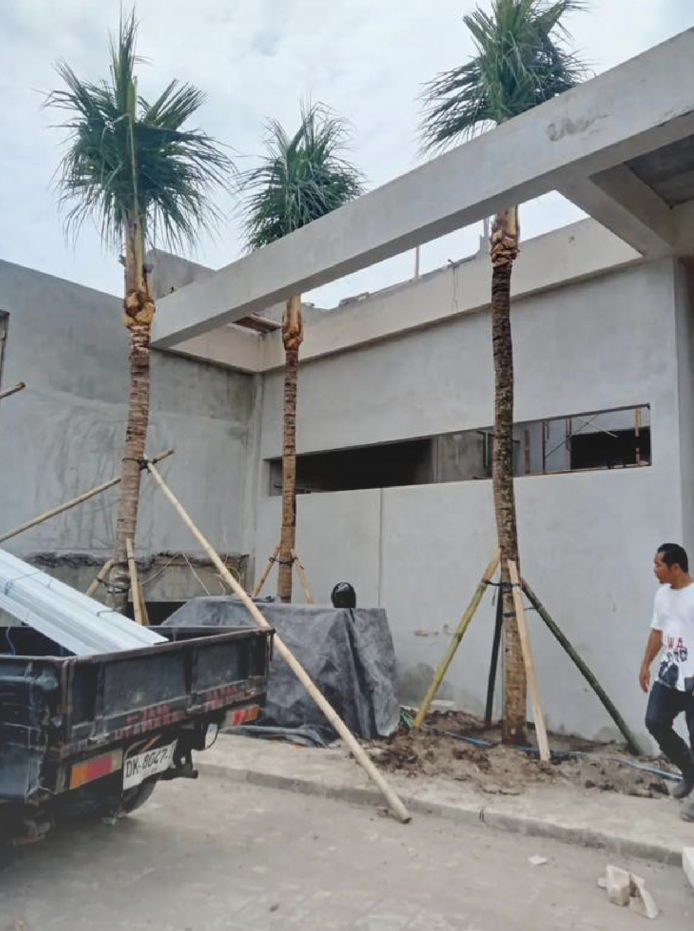 Palm trees supported by wooden braces in front of a concrete building under construction, with construction equipment and a man walking nearby.