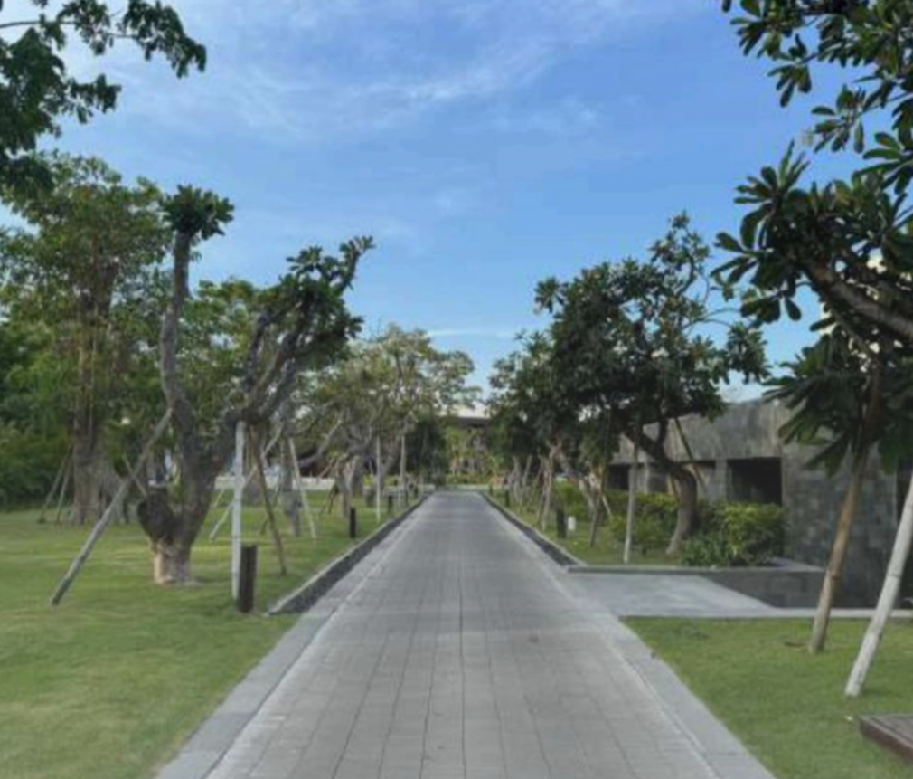 A paved pathway lined with trees on either side in a landscaped outdoor area, with a clear blue sky above.