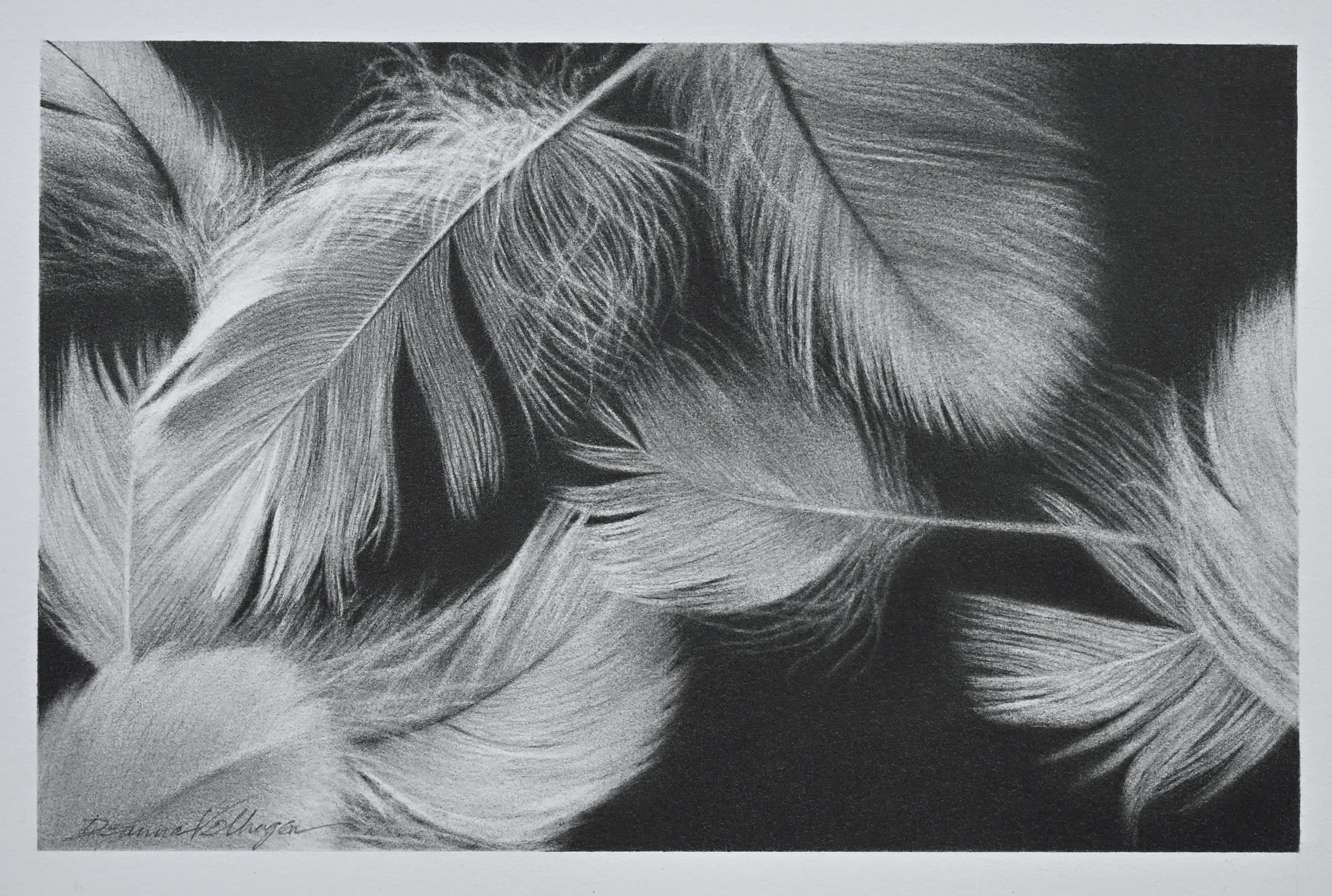 Light as Feathers